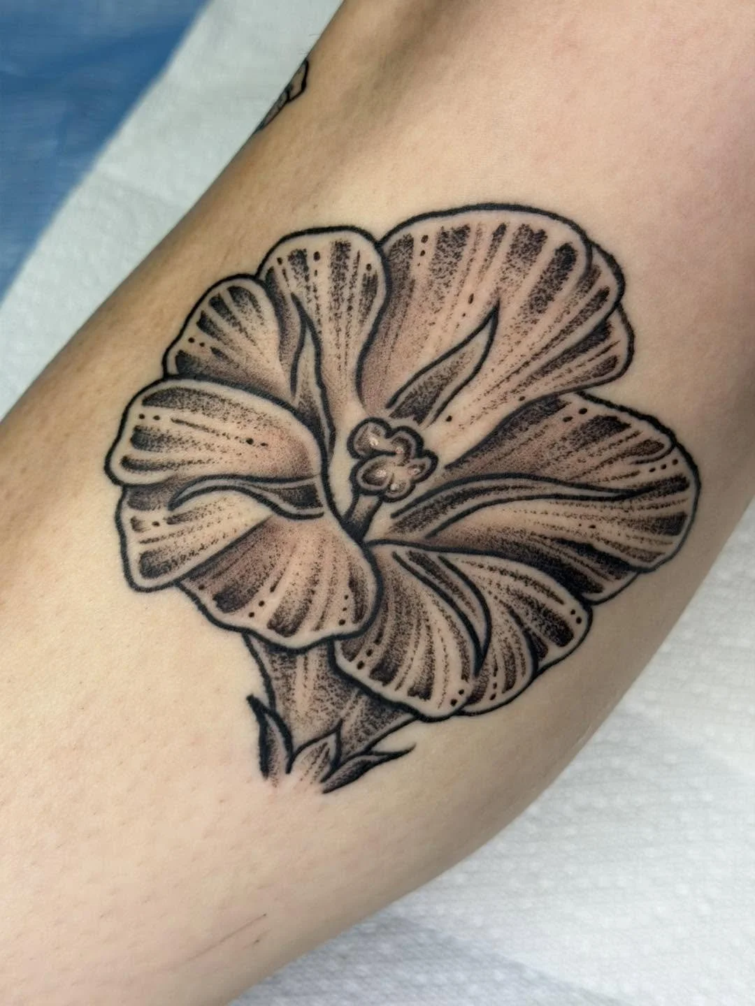 Done by Lily