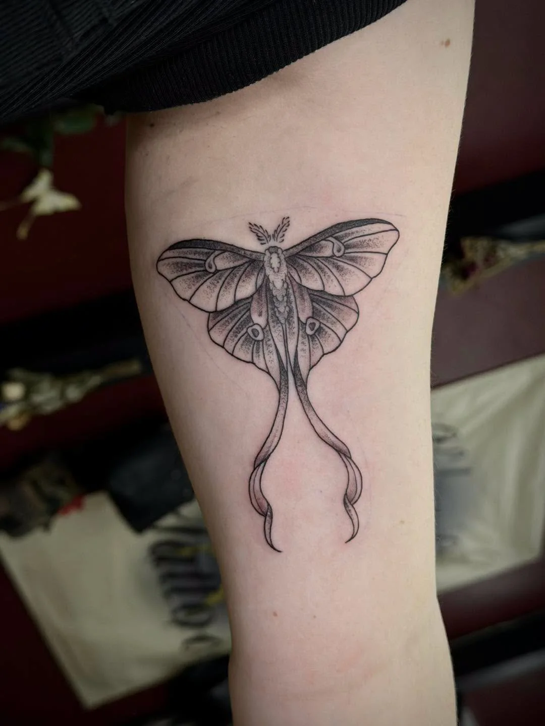 Done by Lily