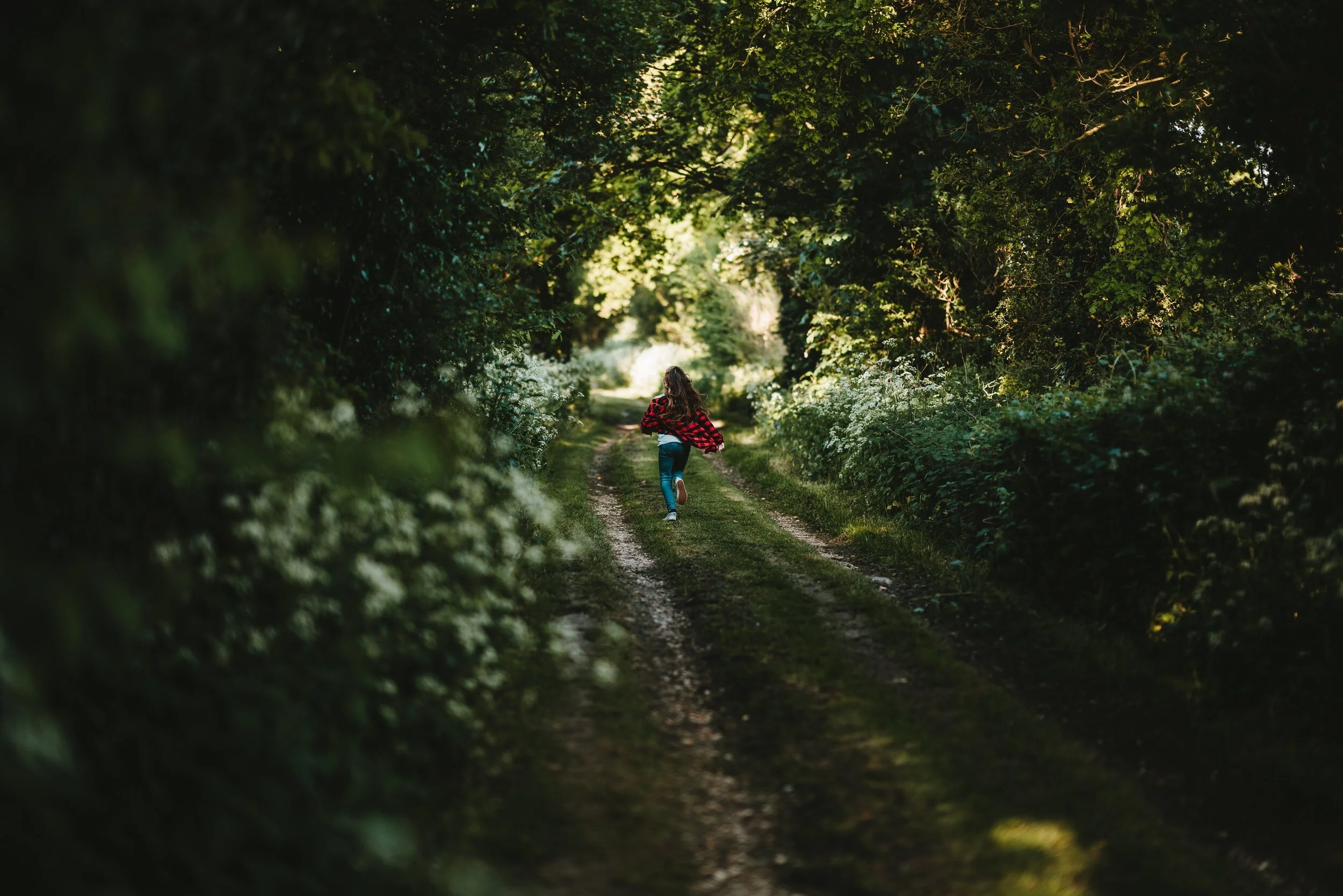 The Common: Ticks In The Hedgerows