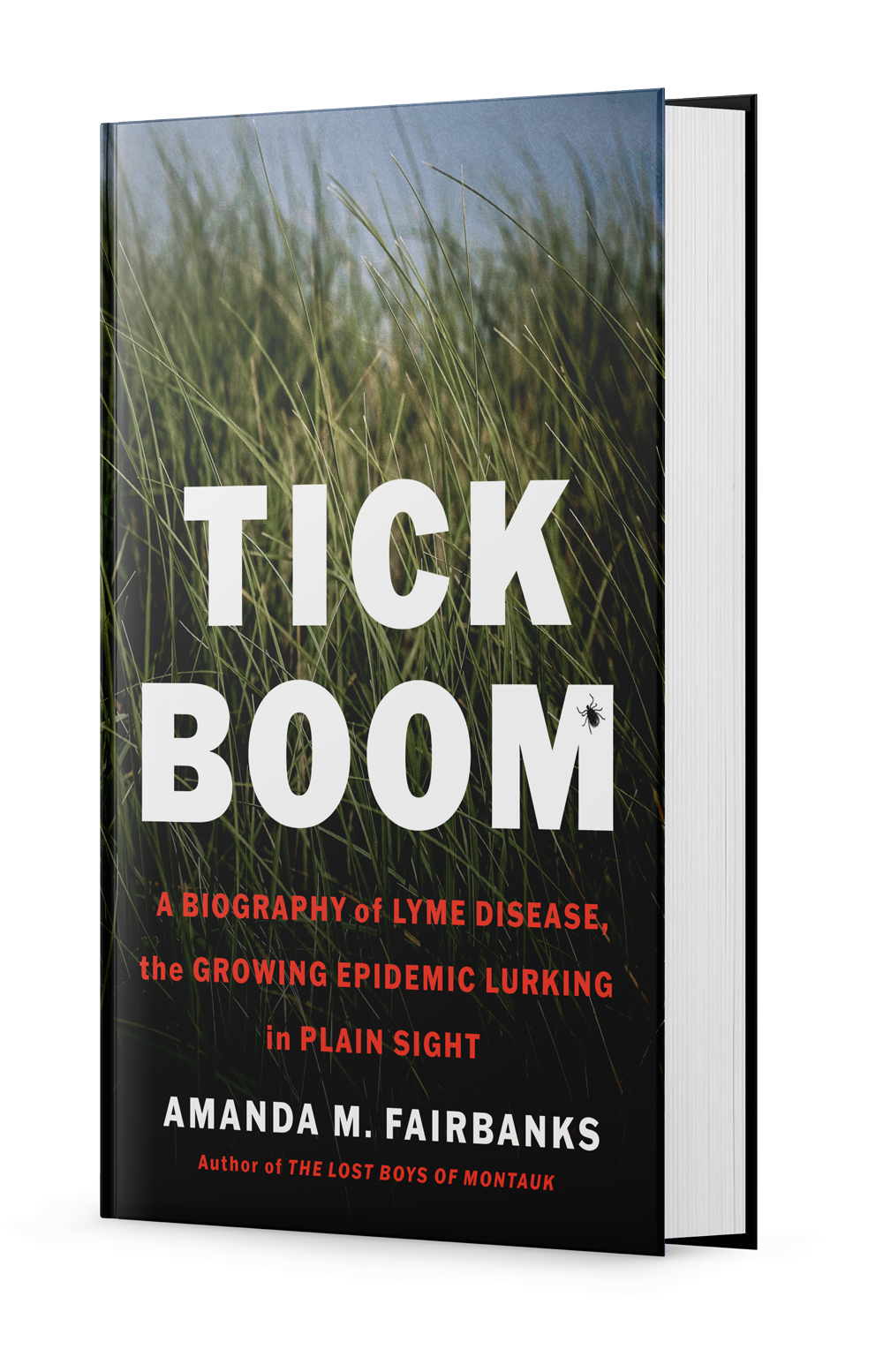 Book titled "Tick Boom" with a cover photo of tall grass and a small tick icon. Subtitle reads "A Biography of Lyme Disease, the Growing Epidemic Lurking in Plain Sight" by Amanda M. Fairbanks.
