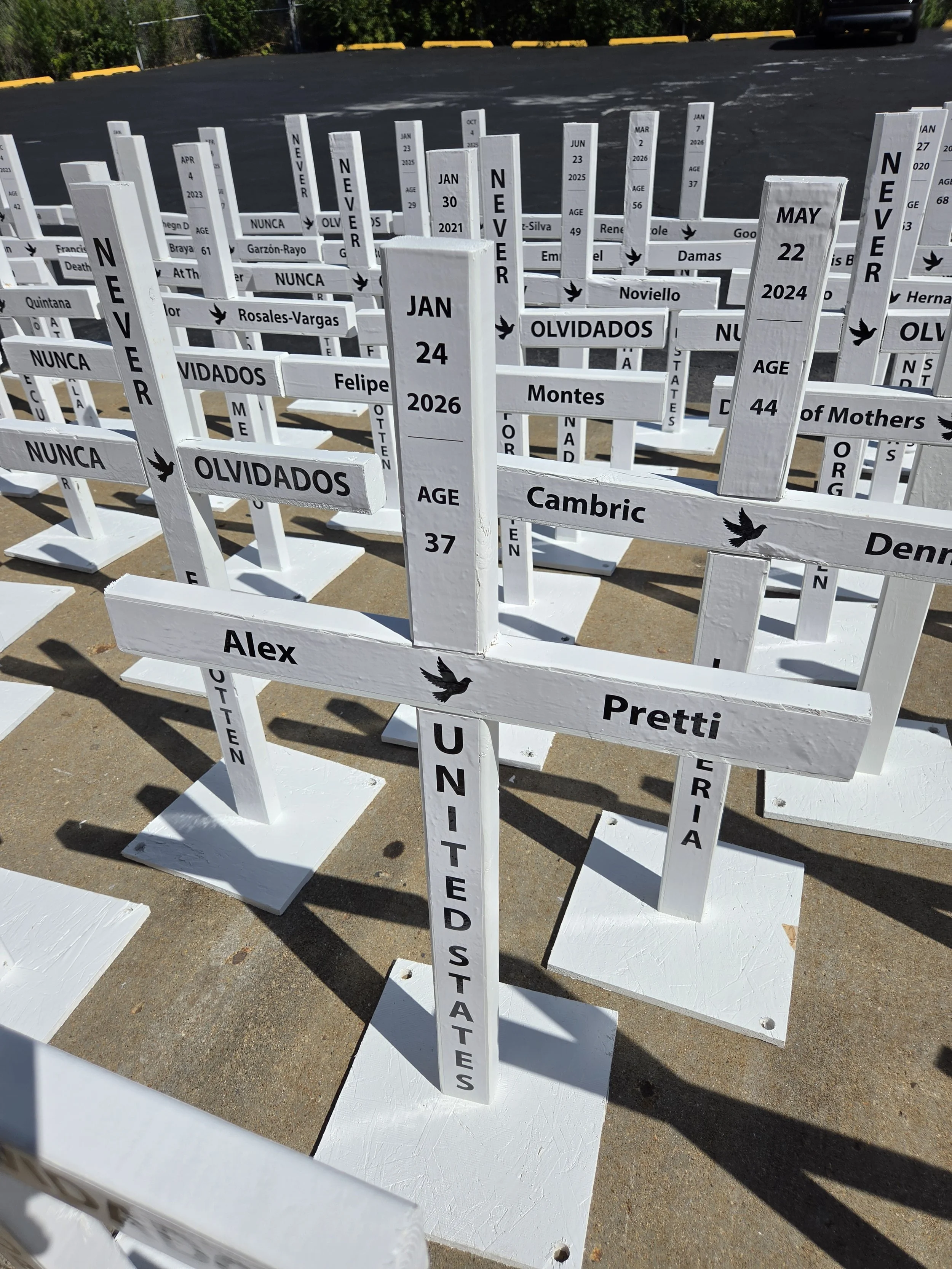 Hand-painted wooden crosses, each bearing a name, standing outdoors in sunlight