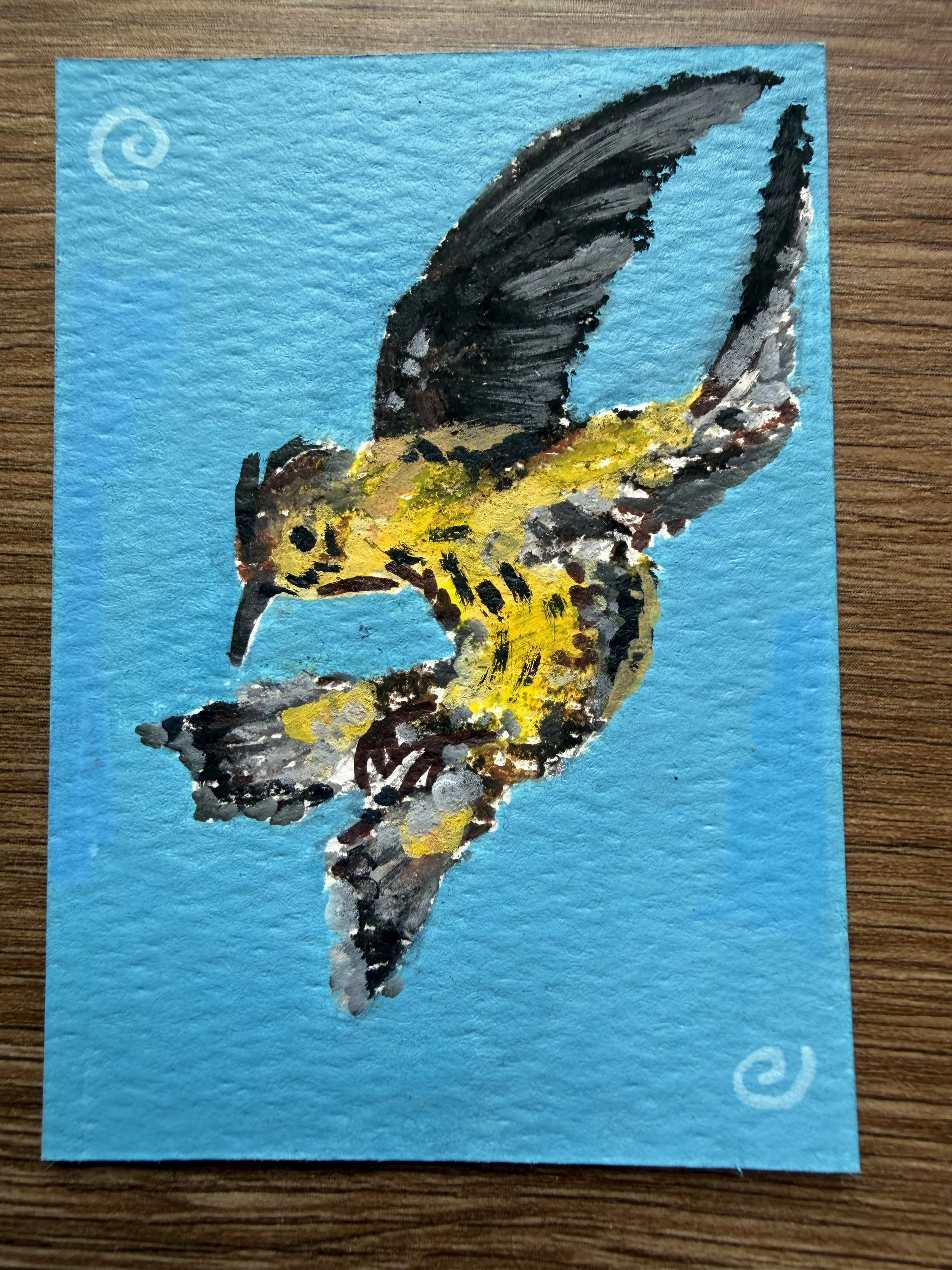 Birds of Color 6.jpg