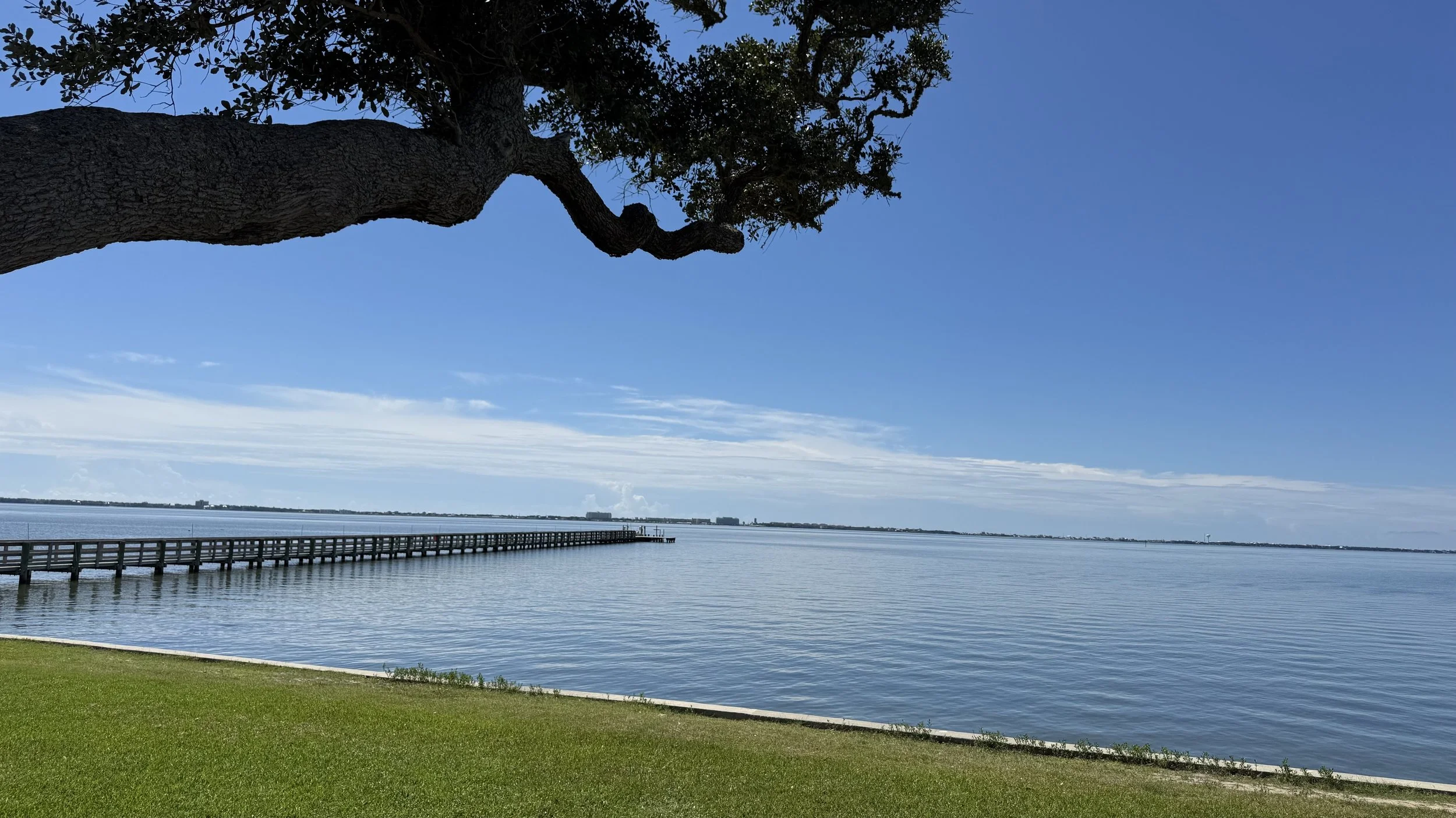 A lakeside scene with a large tree in the foreground, a wooden pier extending into the water, and a distant city skyline under a partly cloudy sky.