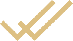 Two overlapping checkmarks in a beige or gold color on a white background.