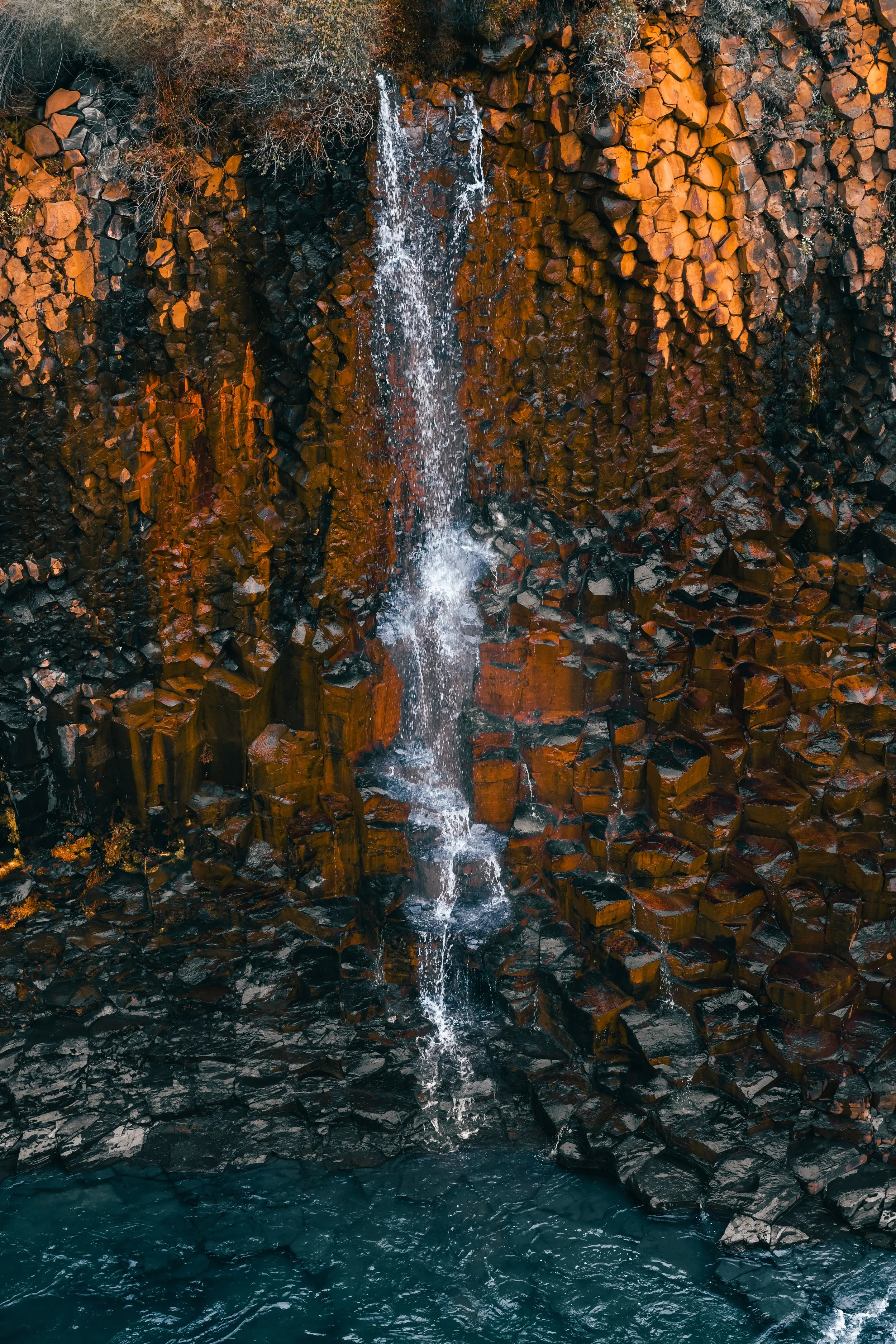 1000055438.jpg