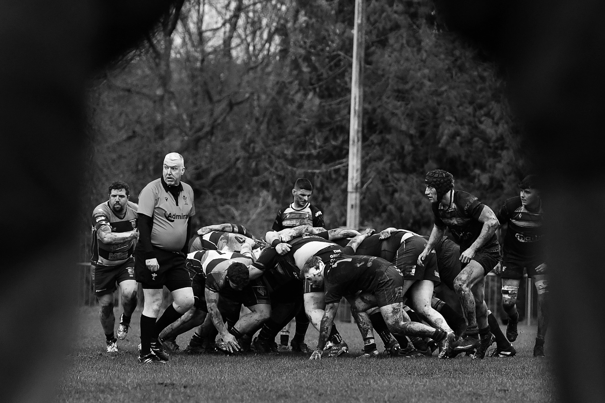 CDF_200226_KA_Bargoed_RFC_v_Hawick_Quins_018.jpg