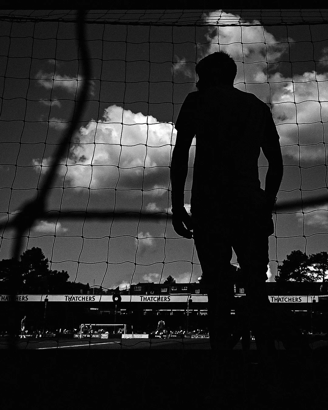 brisnew5.jpg
