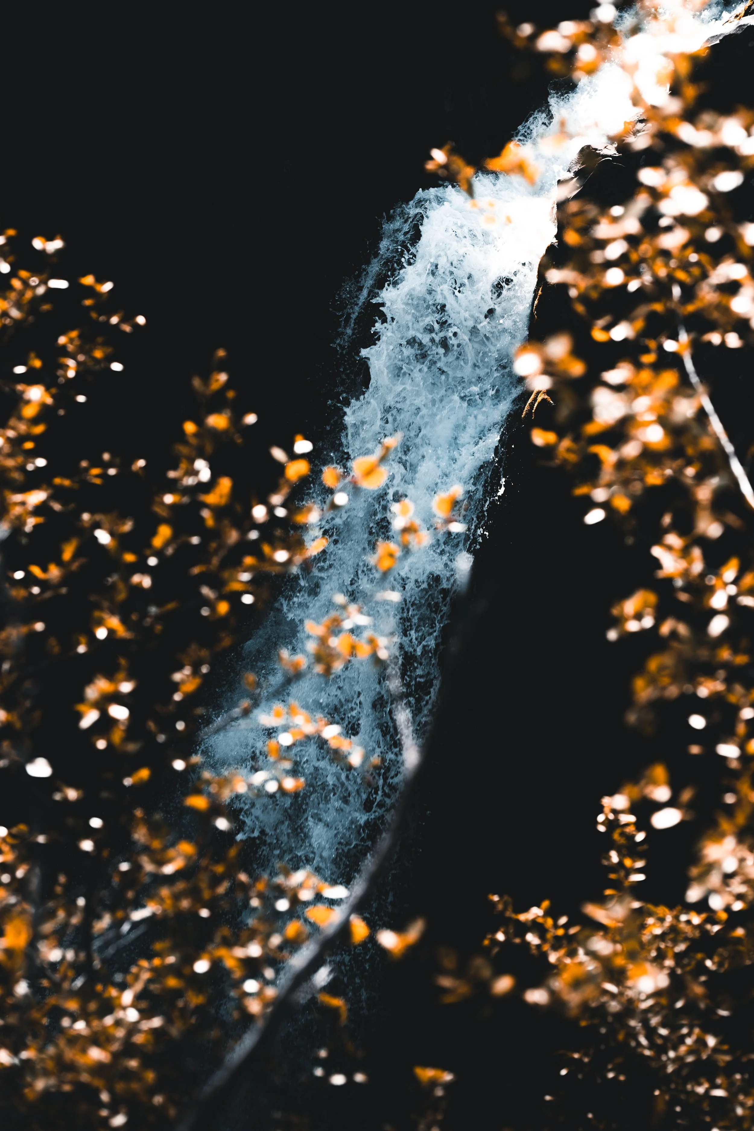 1000055004.jpg