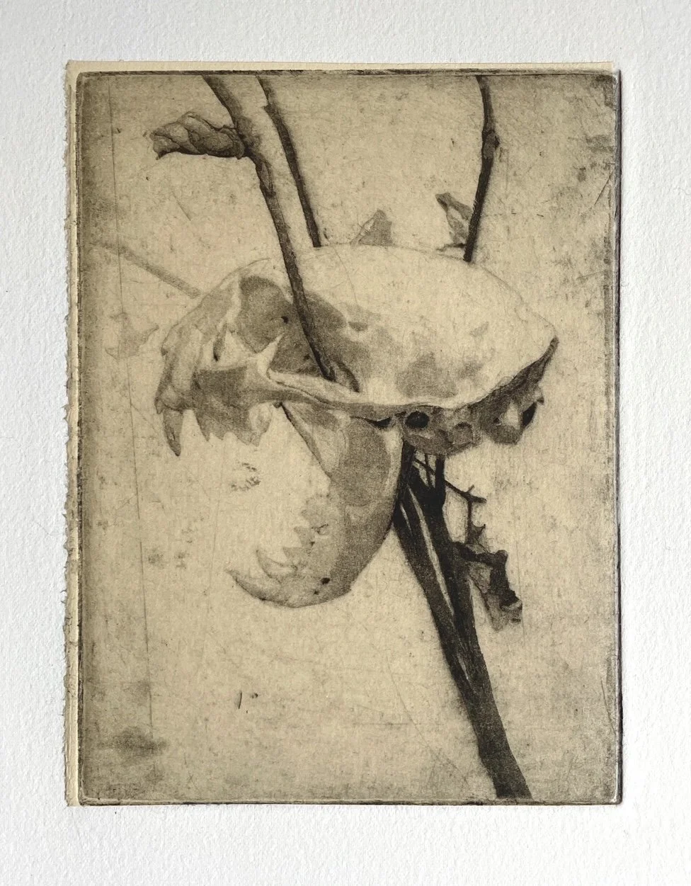 Soft-ground etching and drypoint, 4.5 x 6 in.