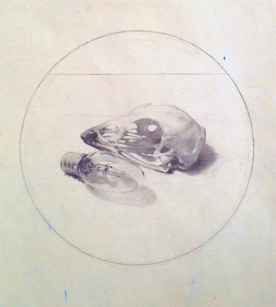 Charcoal and pencil on paper, 11.5 x 12.75 in.