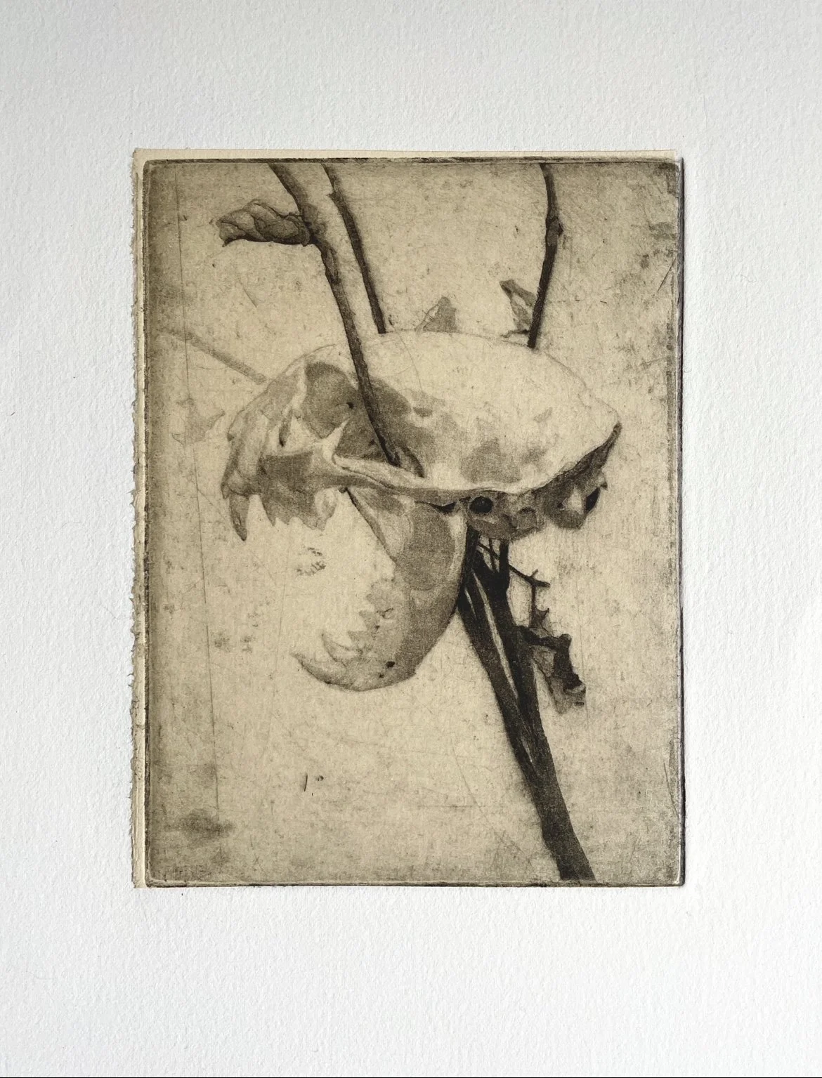 Etching
