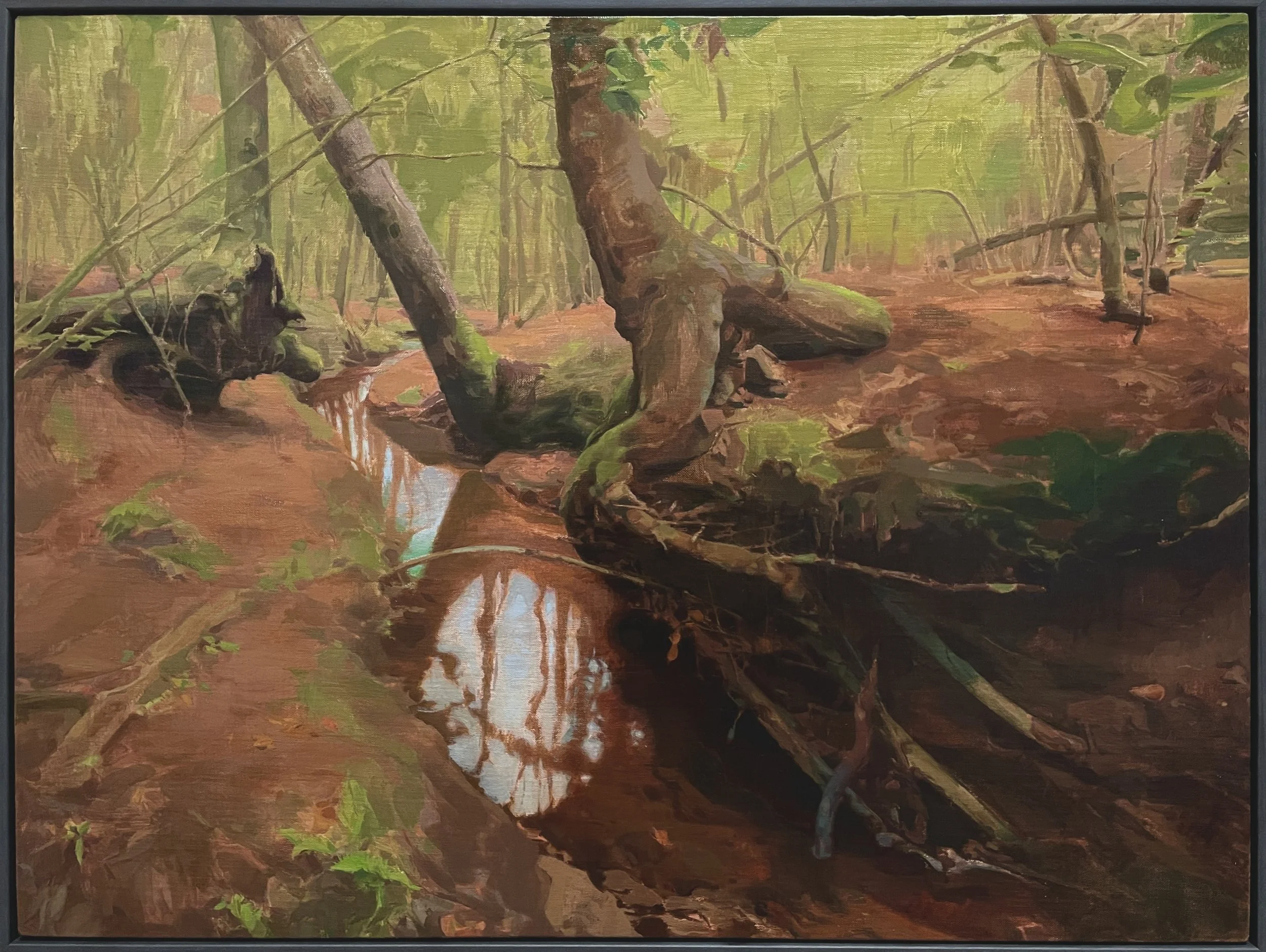 Landscape