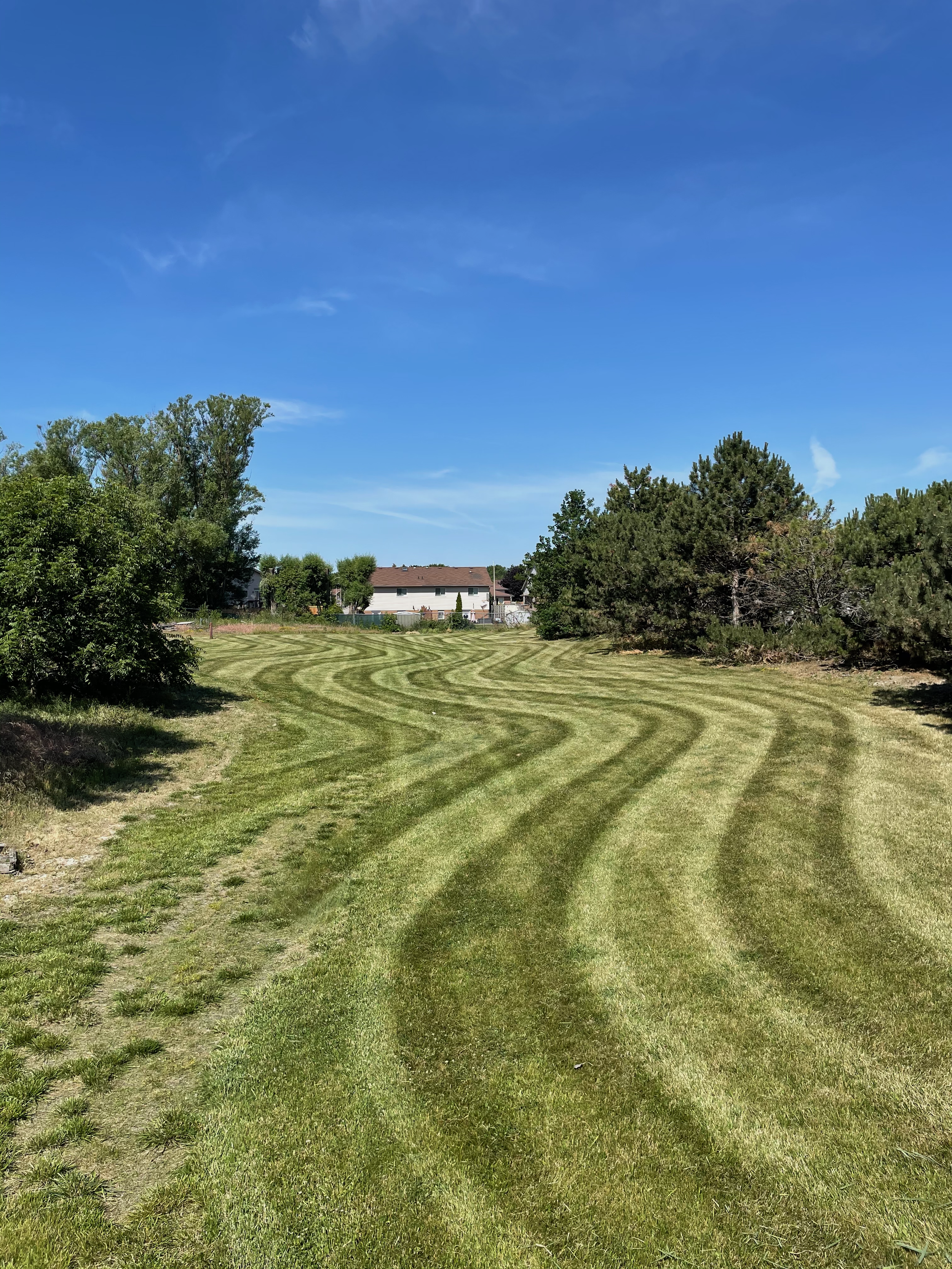 A grassy yard with freshly mowed stripes, trees on either side, and a house in the background under a blue sky with some clouds.