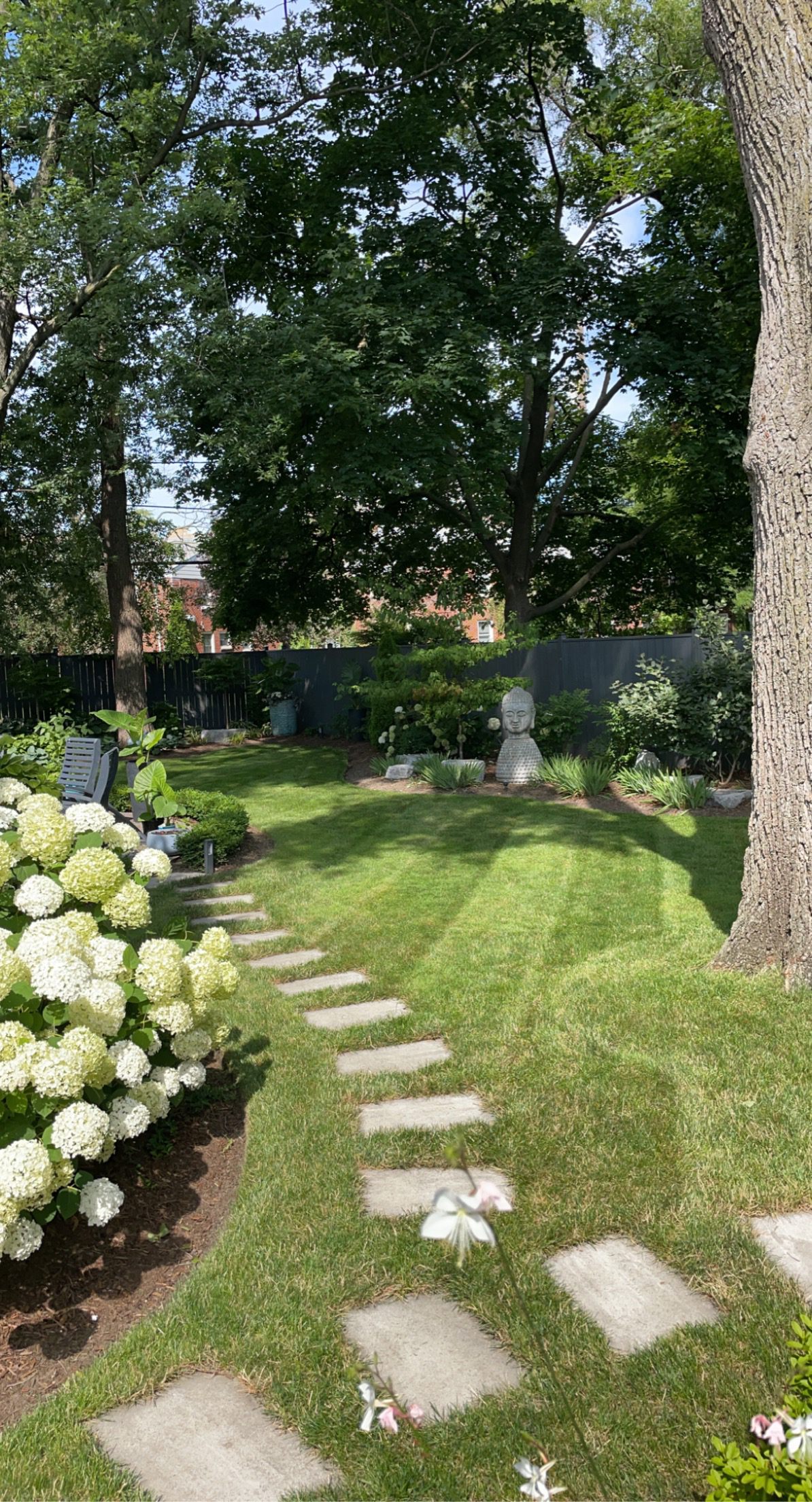 A well-maintained garden with a stone pathway, lush green grass, white hydrangea flowers, a small Buddha statue, and a large tree providing shade.