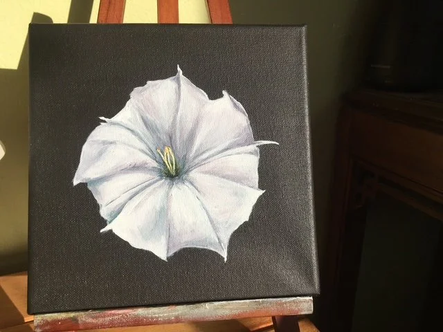 Datura
Acrylic on canvas