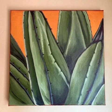 Agave parryi
Acrylic on canvas
