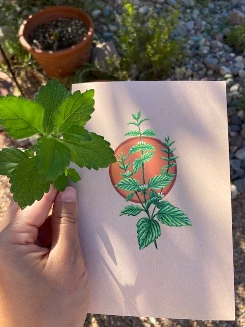 Lemon balm print