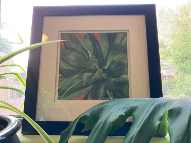 Agave delamateri
Acrylic on cardboard, matted and framed