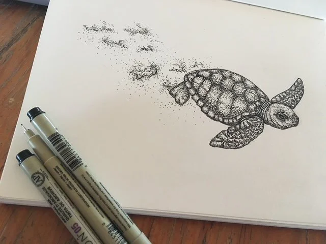 Olive Ridley
Pen on paper