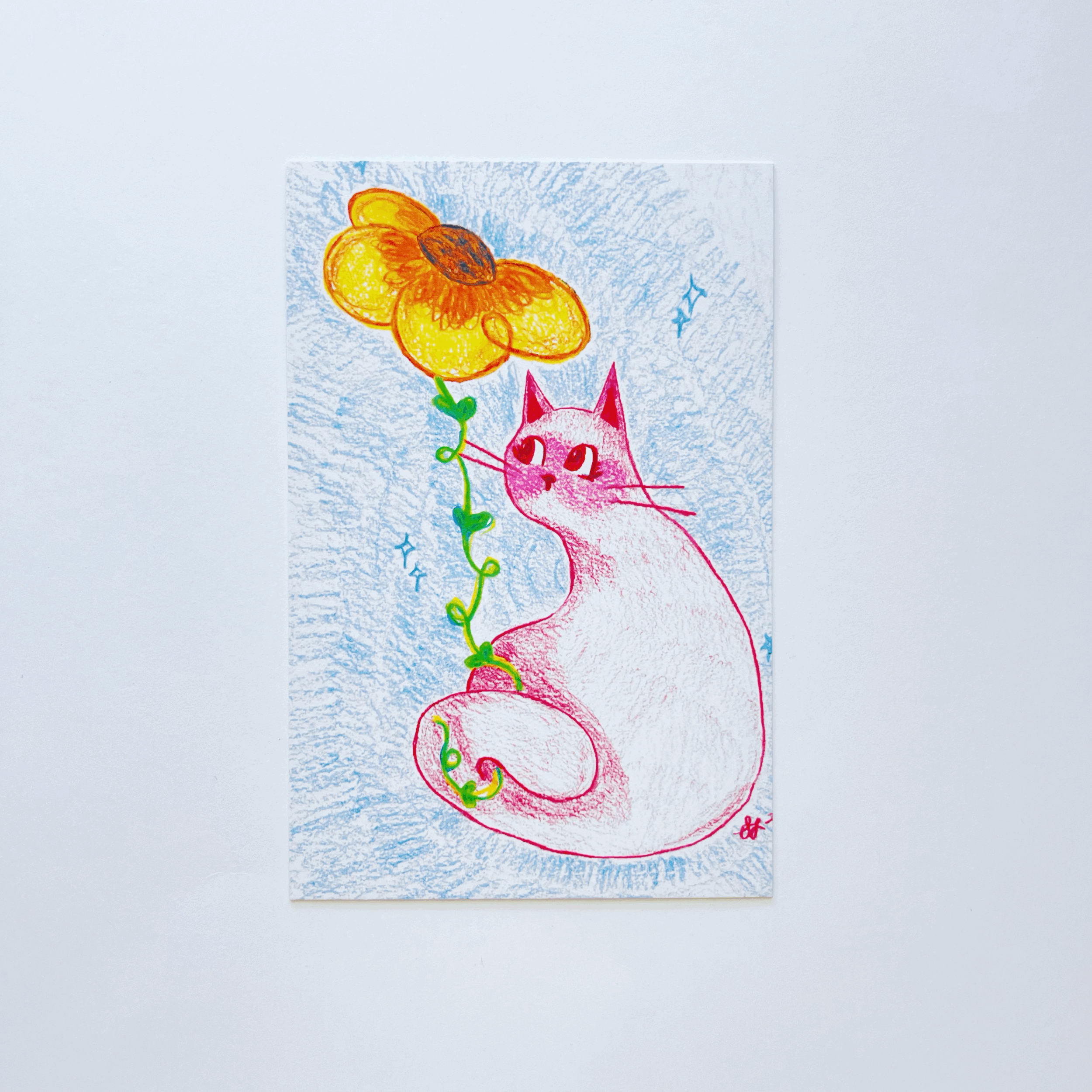 Flower Paw-er (Kitty Postcard: design 4)