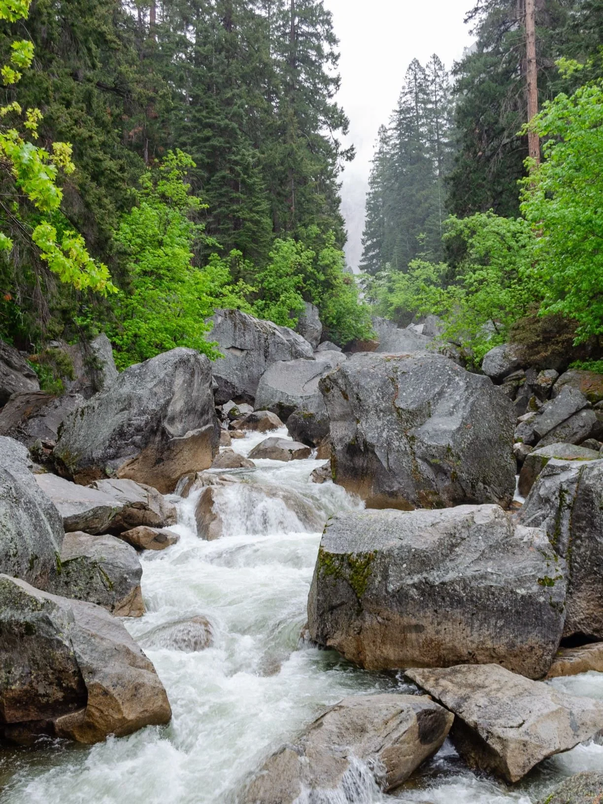 A photo I took in Yosemite