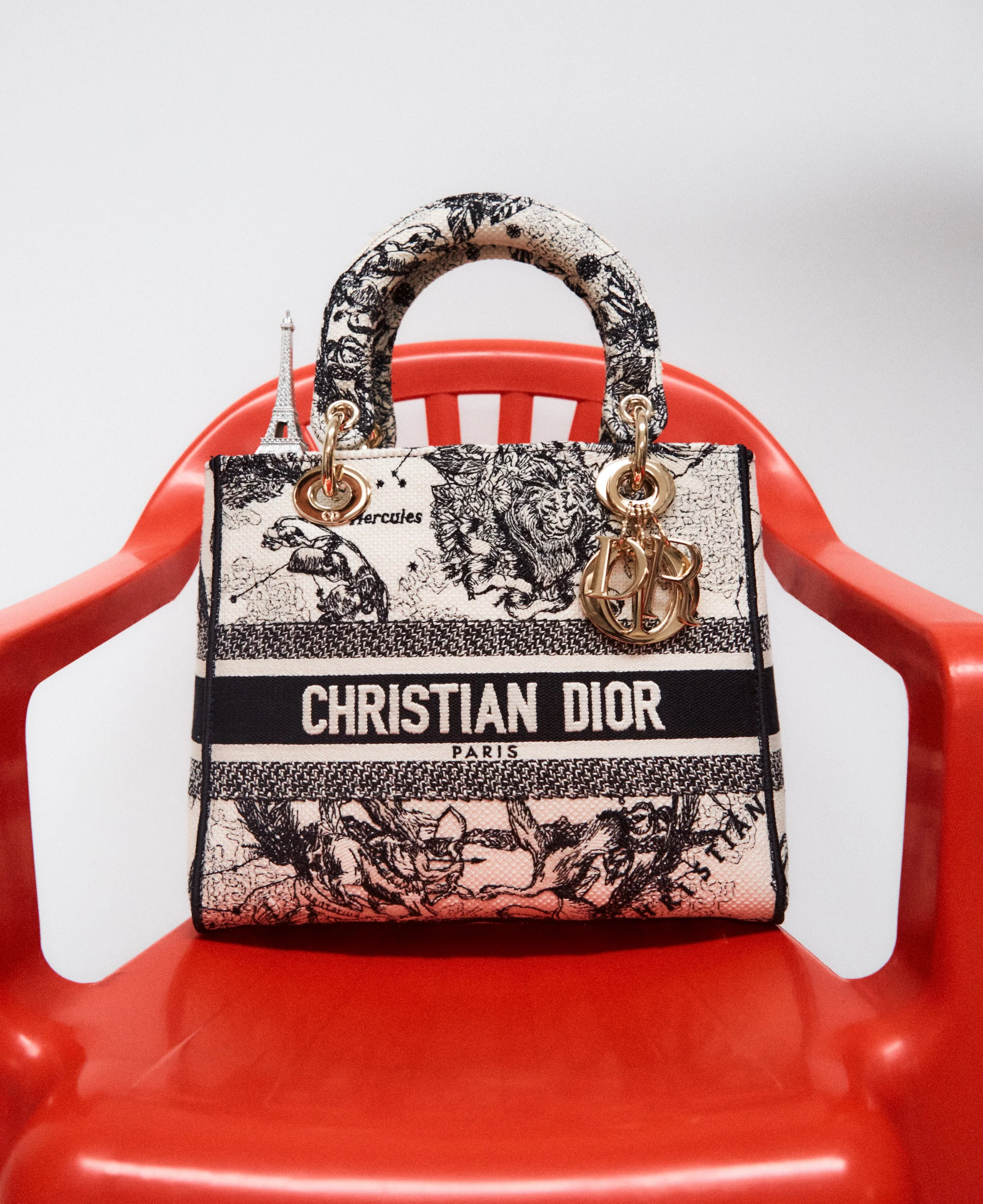 ODDA 25_Lady dior22336.jpg
