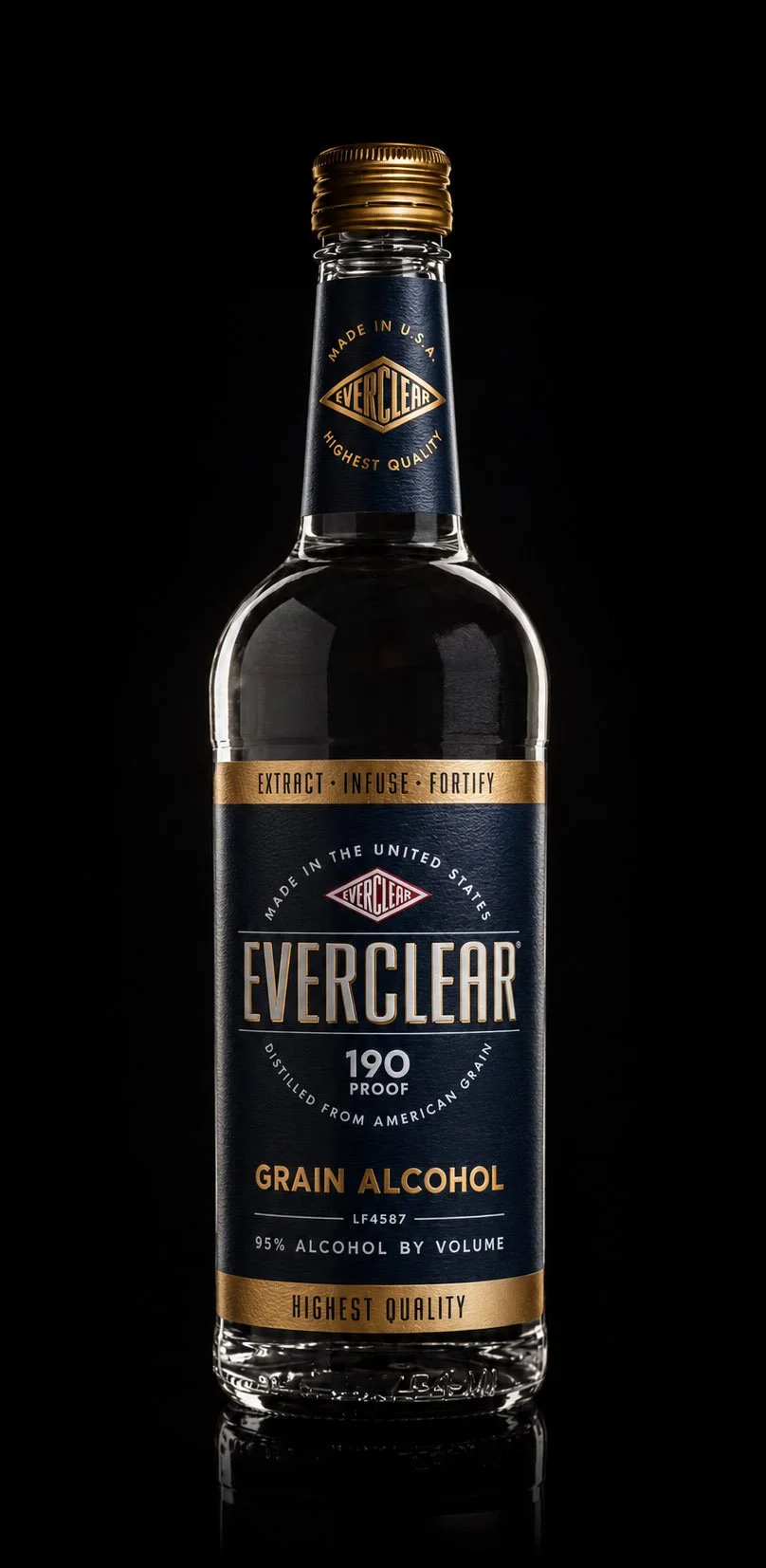 Everclear- NEW-3 CROP2.jpg