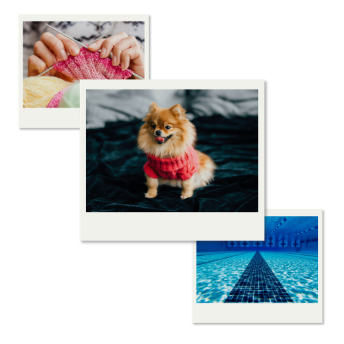 Collage representing Joelle&rsquo;s hobbies: crocheting dog sweaters and swimming
