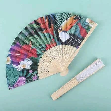 Fan