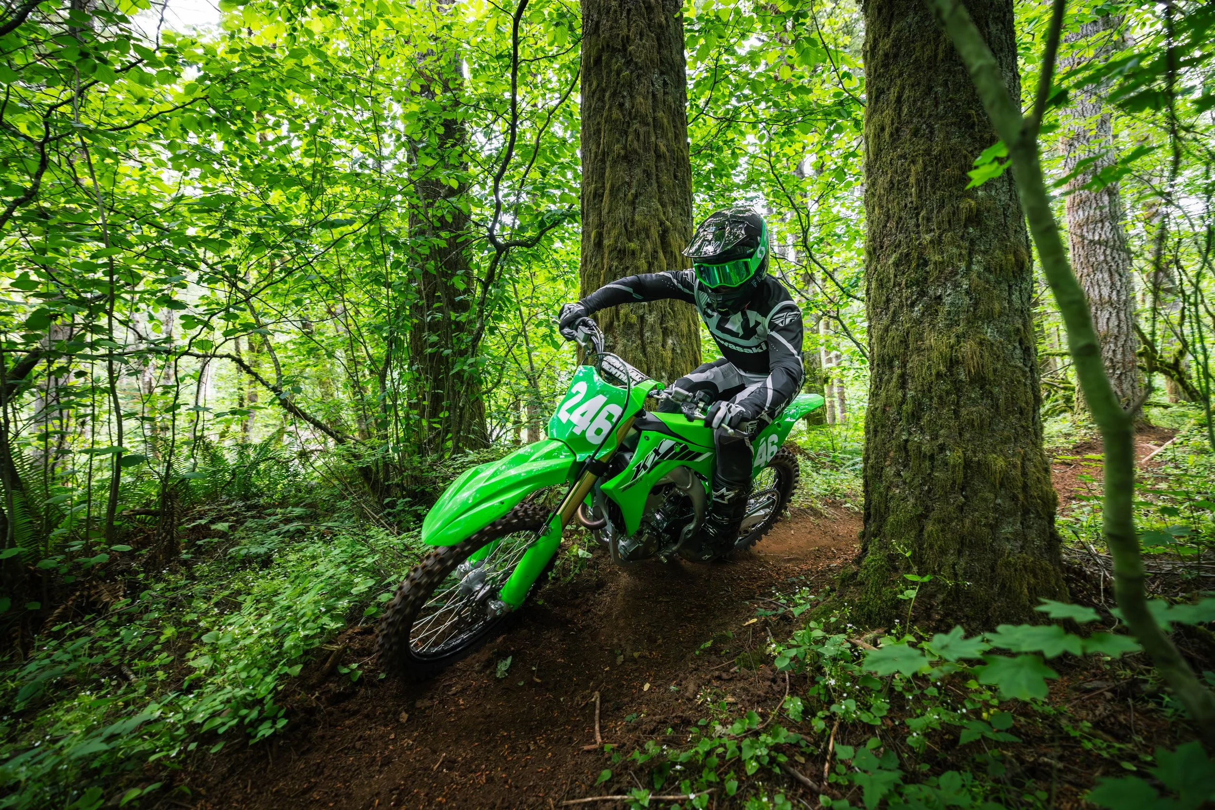 A75A6316-Enhanced-NR.jpg