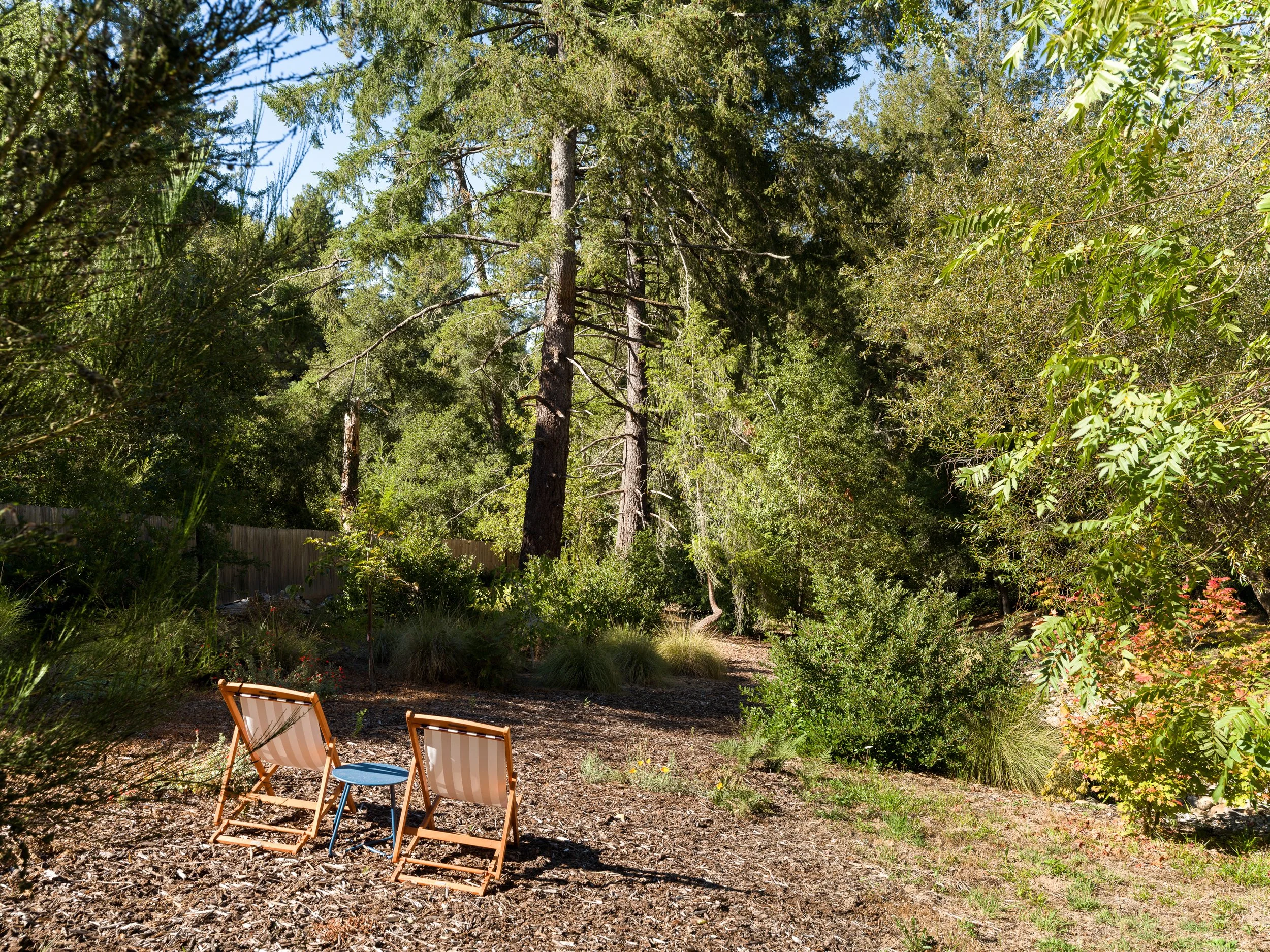 Two striped deck chairs sit in a shady backyard on a dirt ground, surrounded by lush green trees and plants under a clear blue sky.