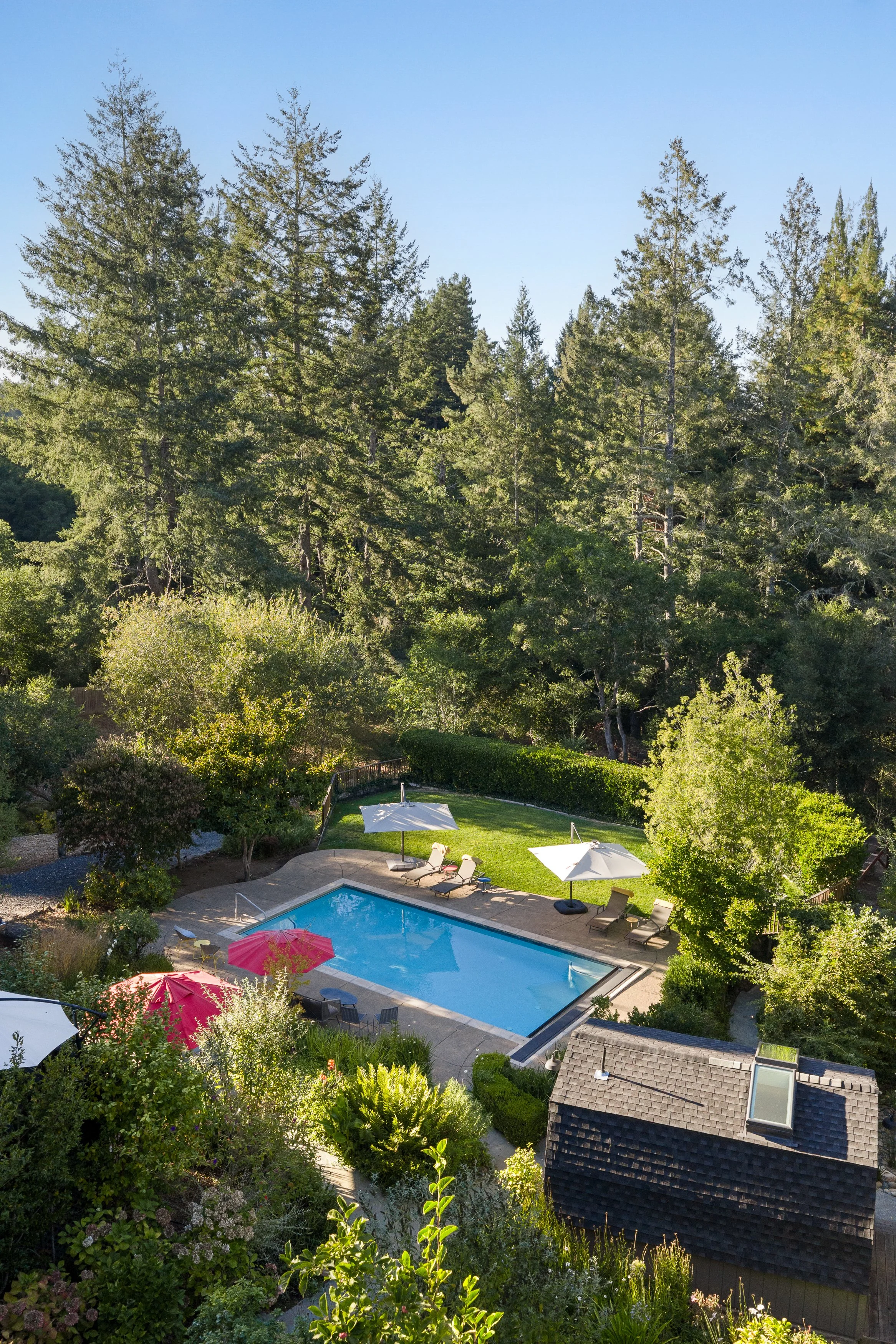 A backyard outdoor area with a swimming pool, surrounding lounge chairs, umbrellas, lush green trees, and a large forested area in the background under a clear blue sky.