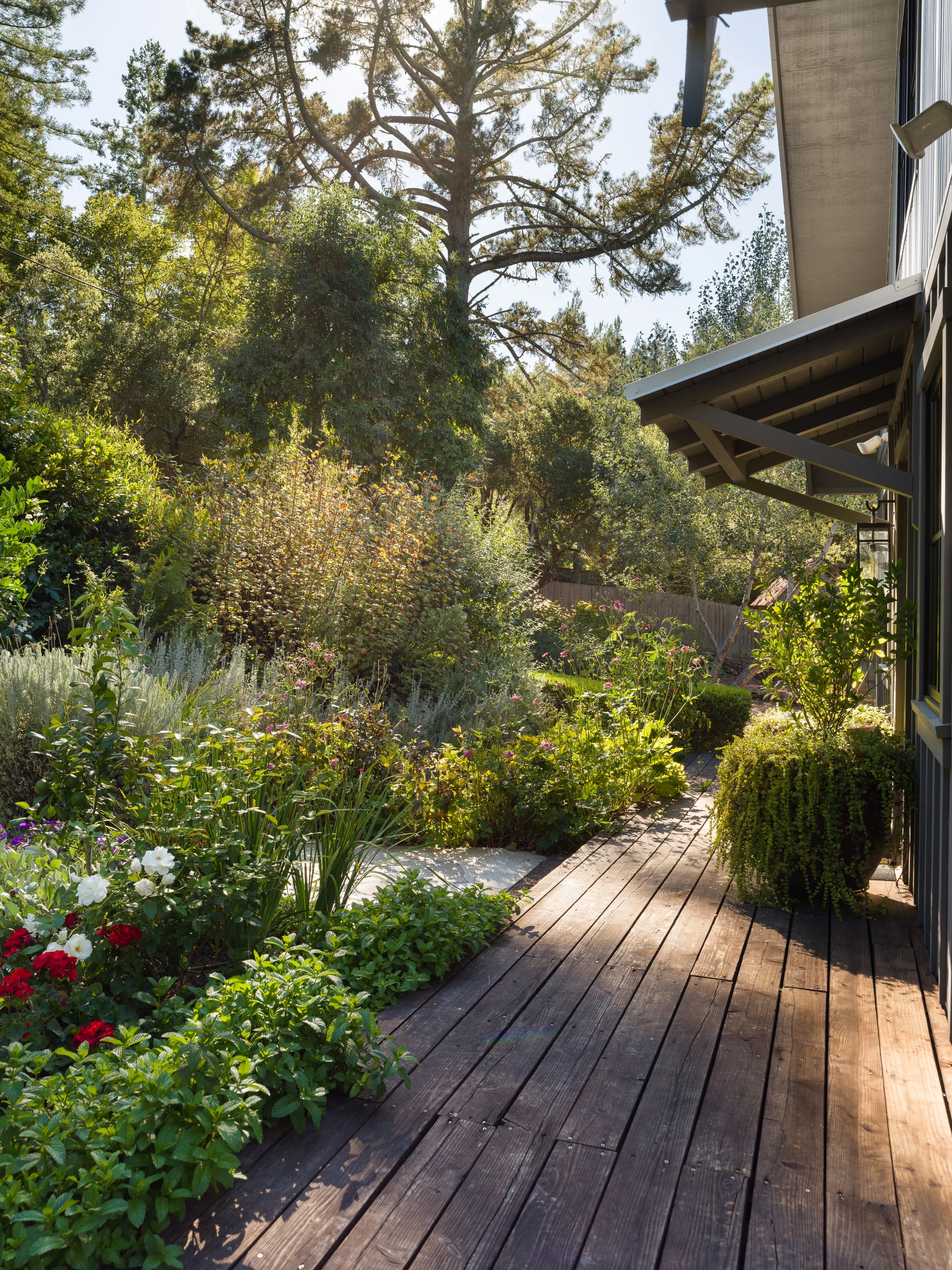 A backyard garden seen from a wooden deck, featuring a variety of plants, flowering bushes, and tall trees, with sunlight filtering through the foliage.