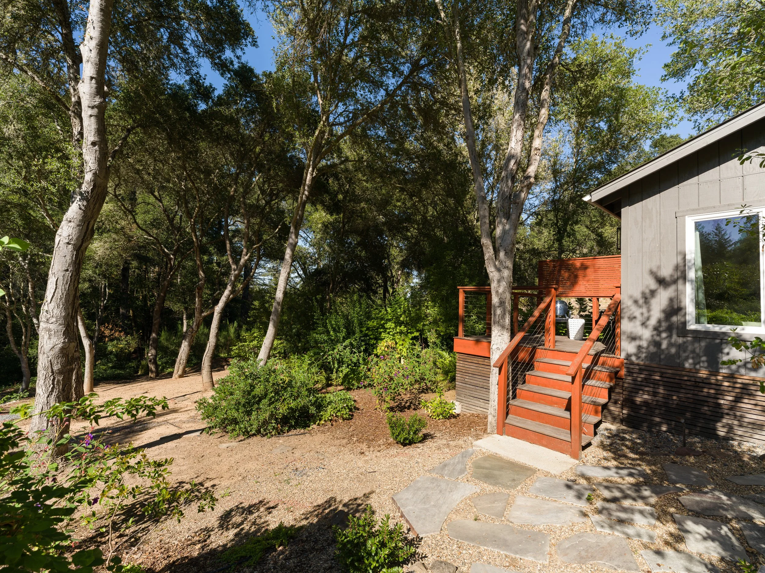 A backyard scene with tall trees, some with white bark, casting shadows on the ground. A gray house with a large window and wooden stairs leading to a small deck is on the right. The yard has a mix of soil, small plants, and a stone pathway.