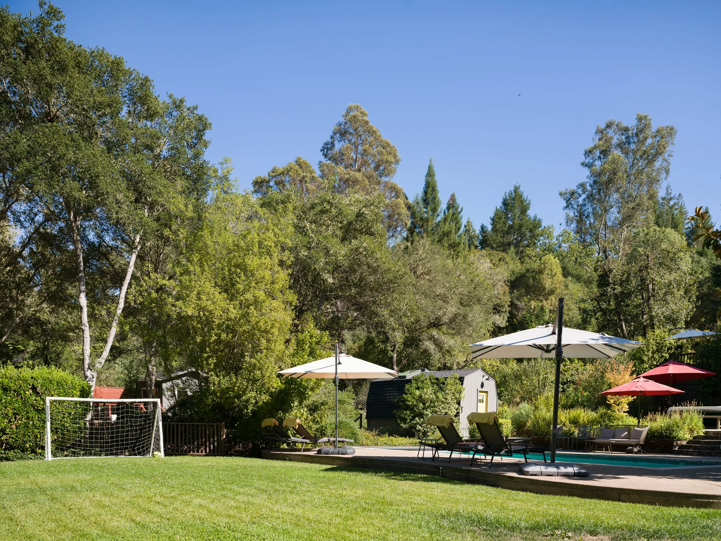 A backyard with a swimming pool, lounge chairs, umbrellas, lush green grass, and trees in the background under a clear blue sky.