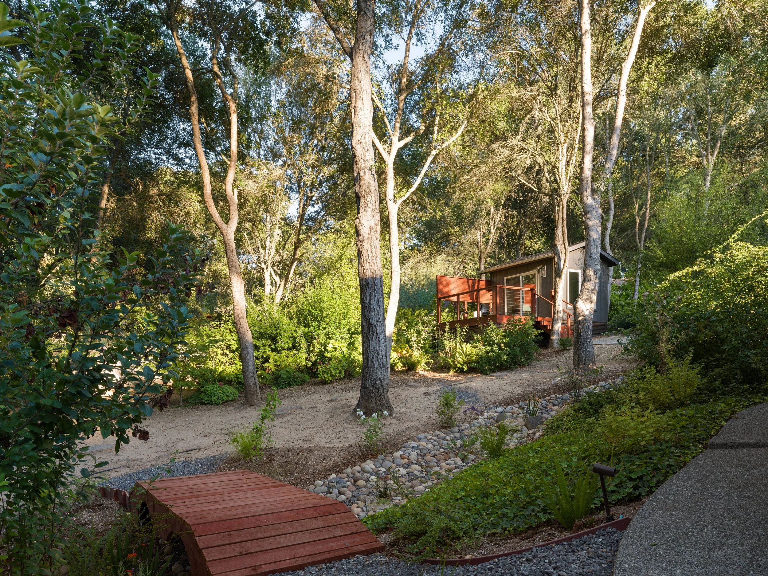 A backyard garden with tall trees, a small house with a red deck, various plants, and a gravel pathway surrounded by greenery.