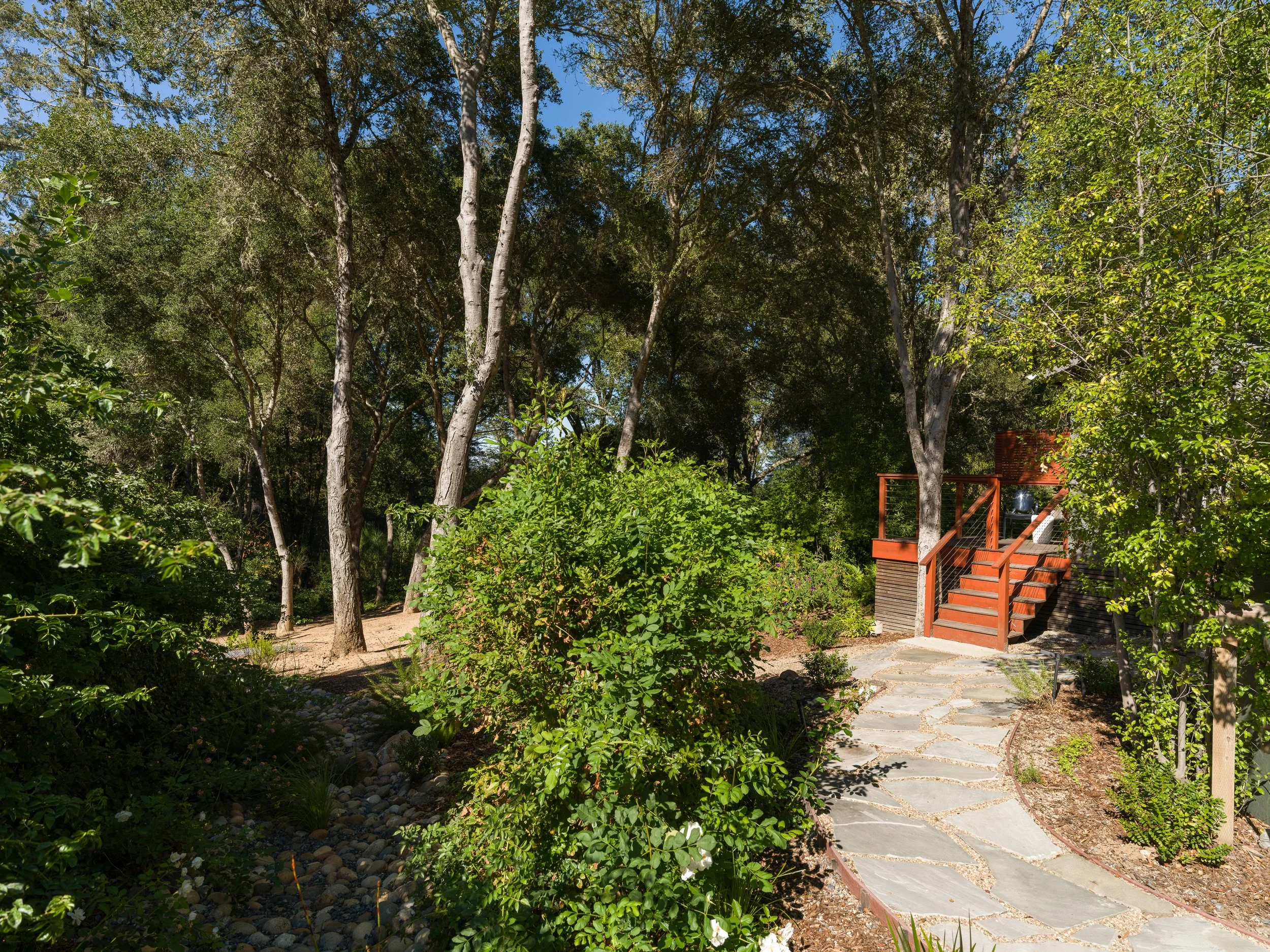 A backyard garden with a stone pathway, surrounded by green bushes and trees, with a wooden deck on the right side.