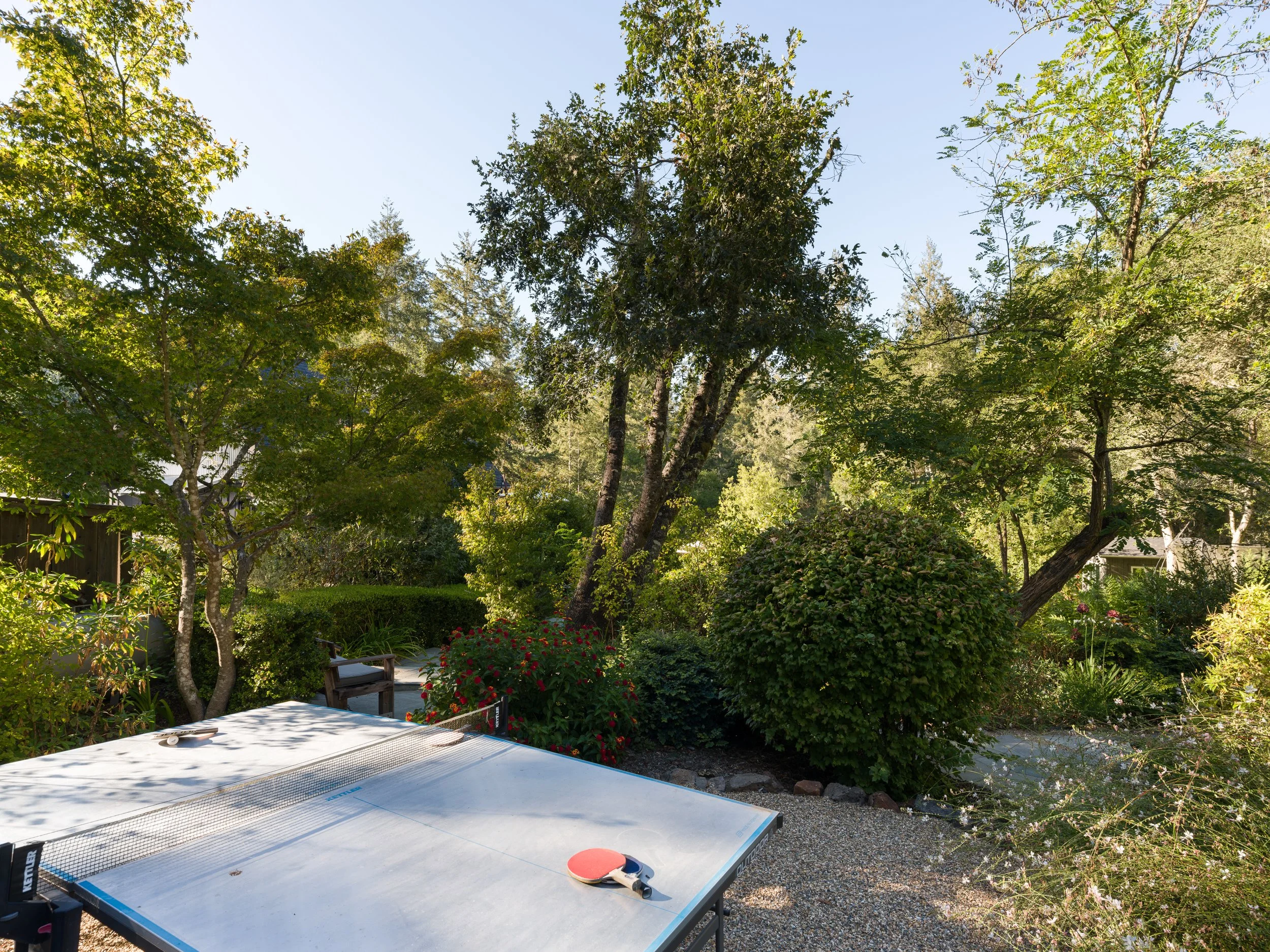 An outdoor backyard with a ping pong table, garden, and tall trees with green leaves under a clear blue sky.