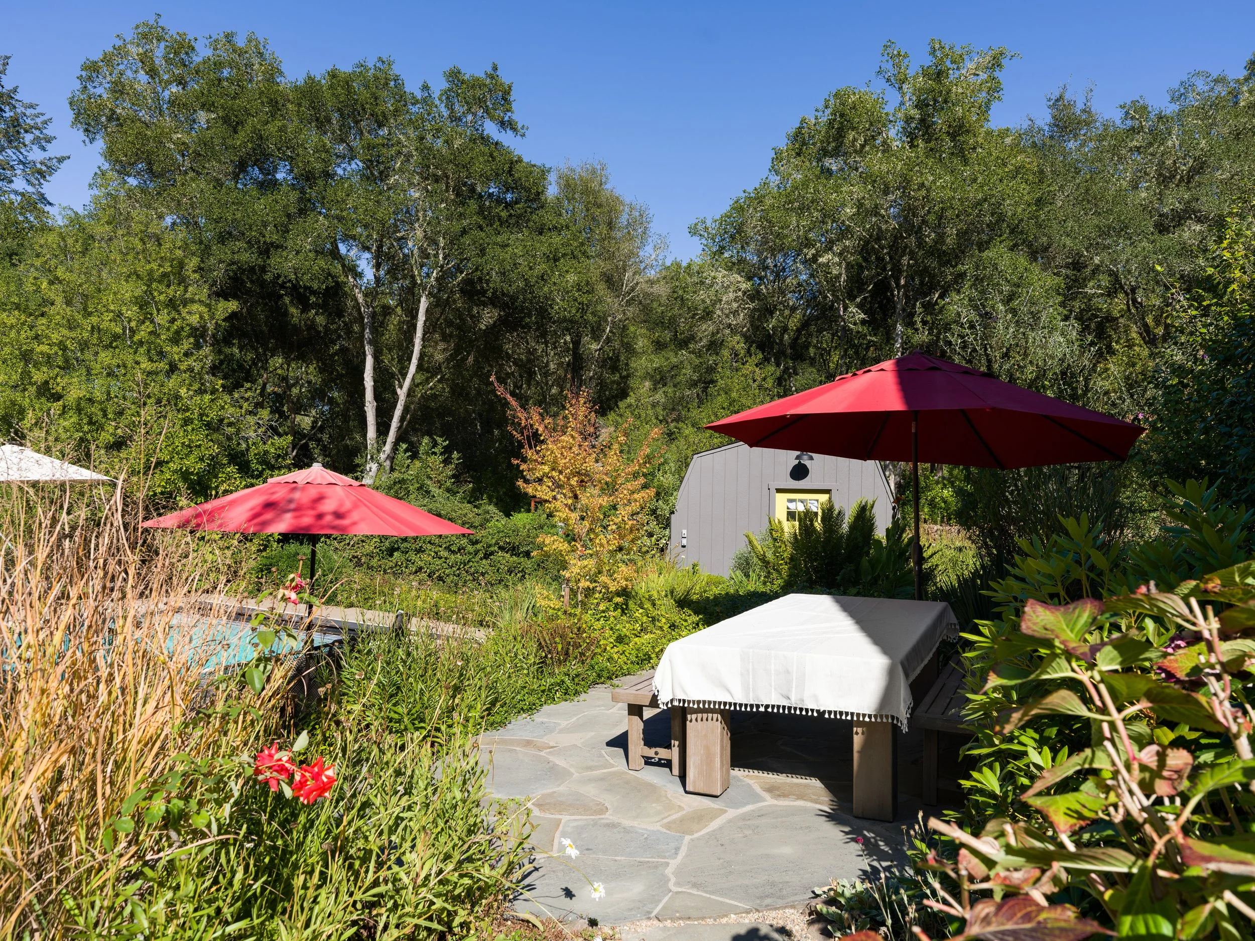 A backyard garden with patio furniture, red umbrellas, lush green trees, and a small gray shed with a yellow window.