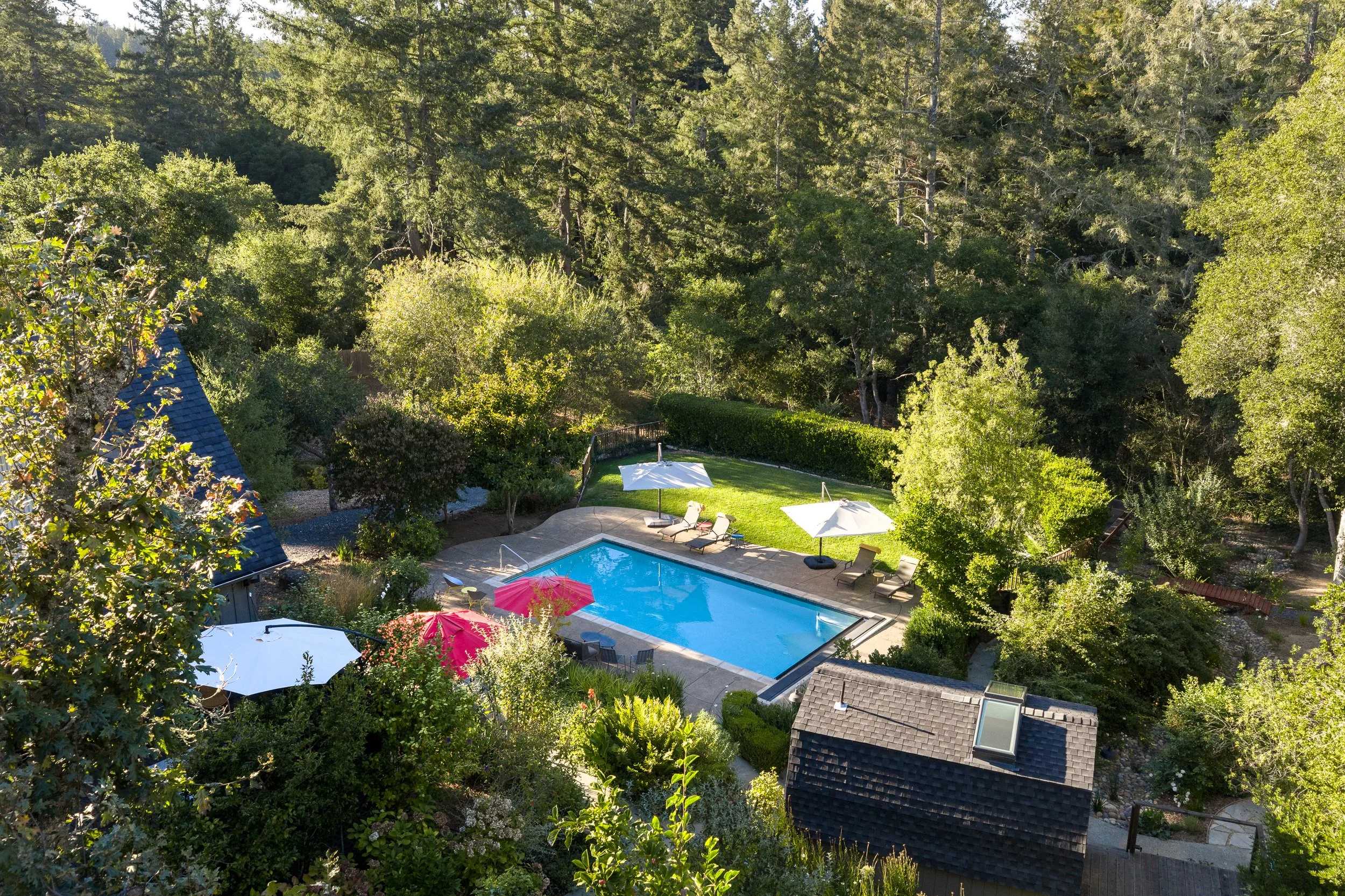 A backyard with a swimming pool surrounded by lounge chairs, umbrellas, and lush green trees and bushes, with a wooded area in the background.