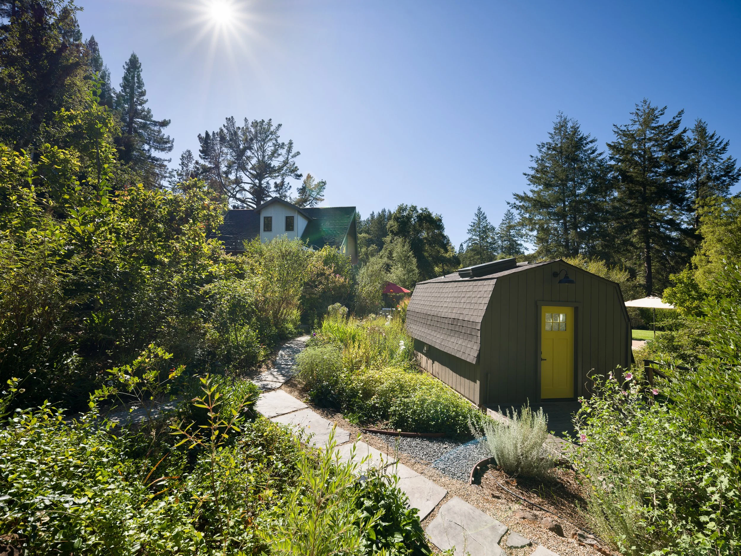A backyard garden scene with lush green foliage, a small shed with a yellow door, a winding stone pathway, and a house surrounded by tall trees under a clear blue sky with the sun shining brightly.