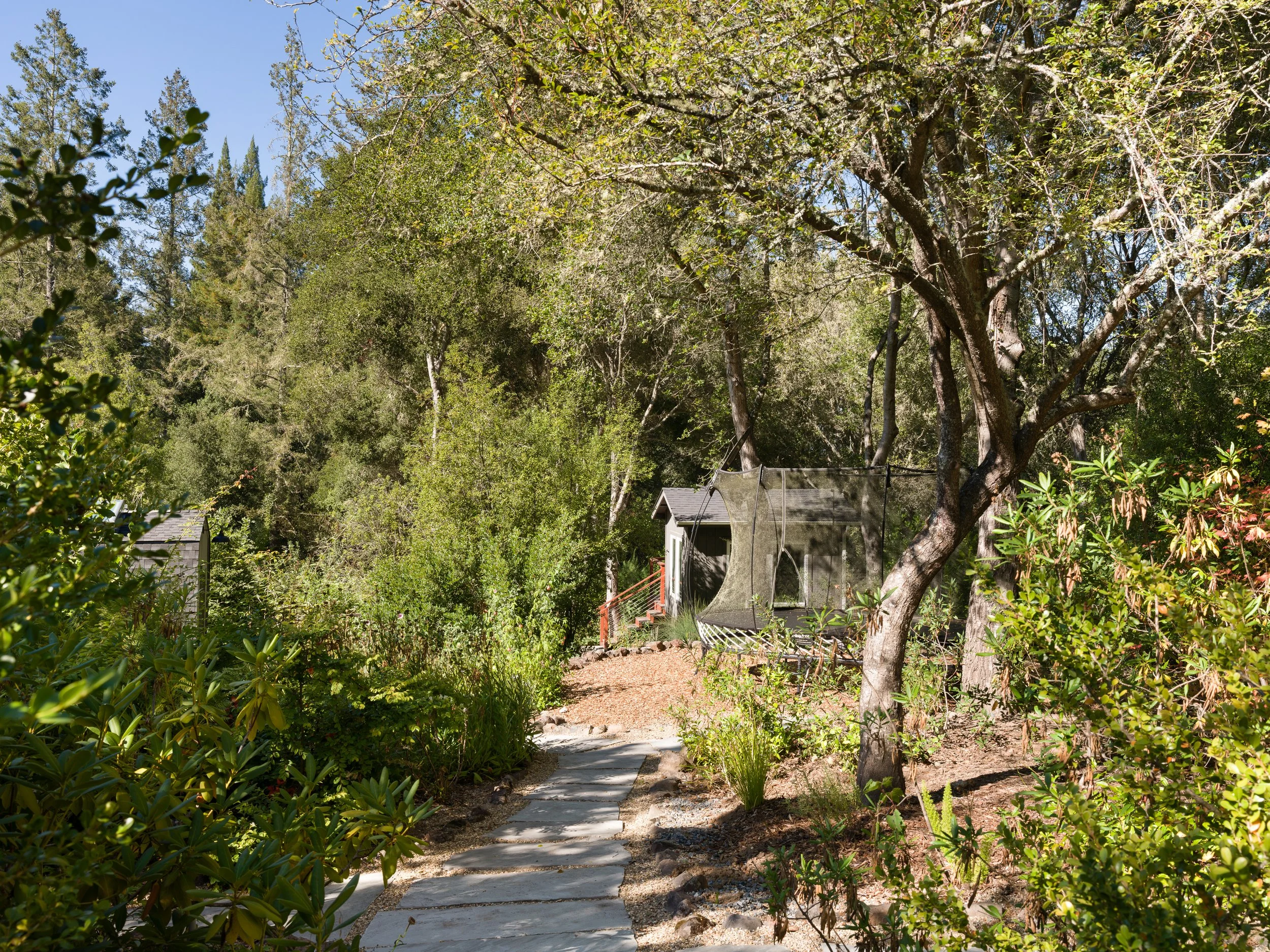 A backyard garden with a pathway made of large stones, surrounded by dense green foliage and trees, with a trampoline near the house.