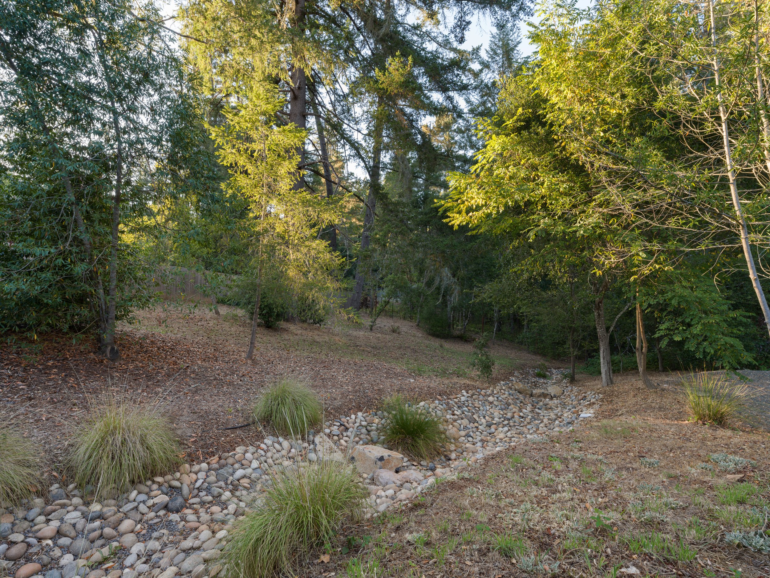 A backyard with trees, bushes, and a dry creek bed filled with rocks. Sunlight filters through the leaves, illuminating the area.