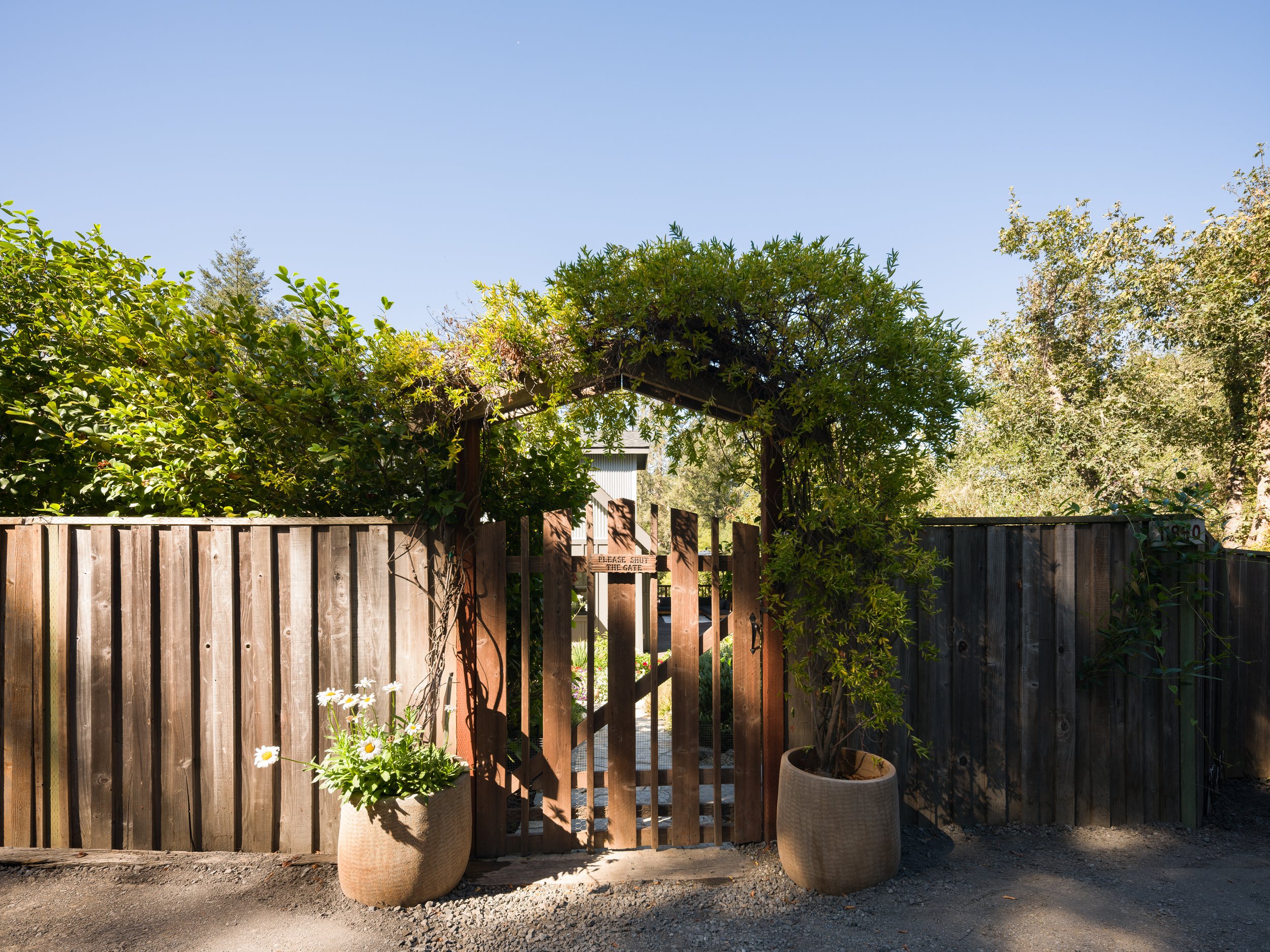 A backyard garden scene with a wooden fence, large clay pots with plants, a gate with a sign saying "Please Shut the Gate," and a trellis covered in green foliage under a clear blue sky.