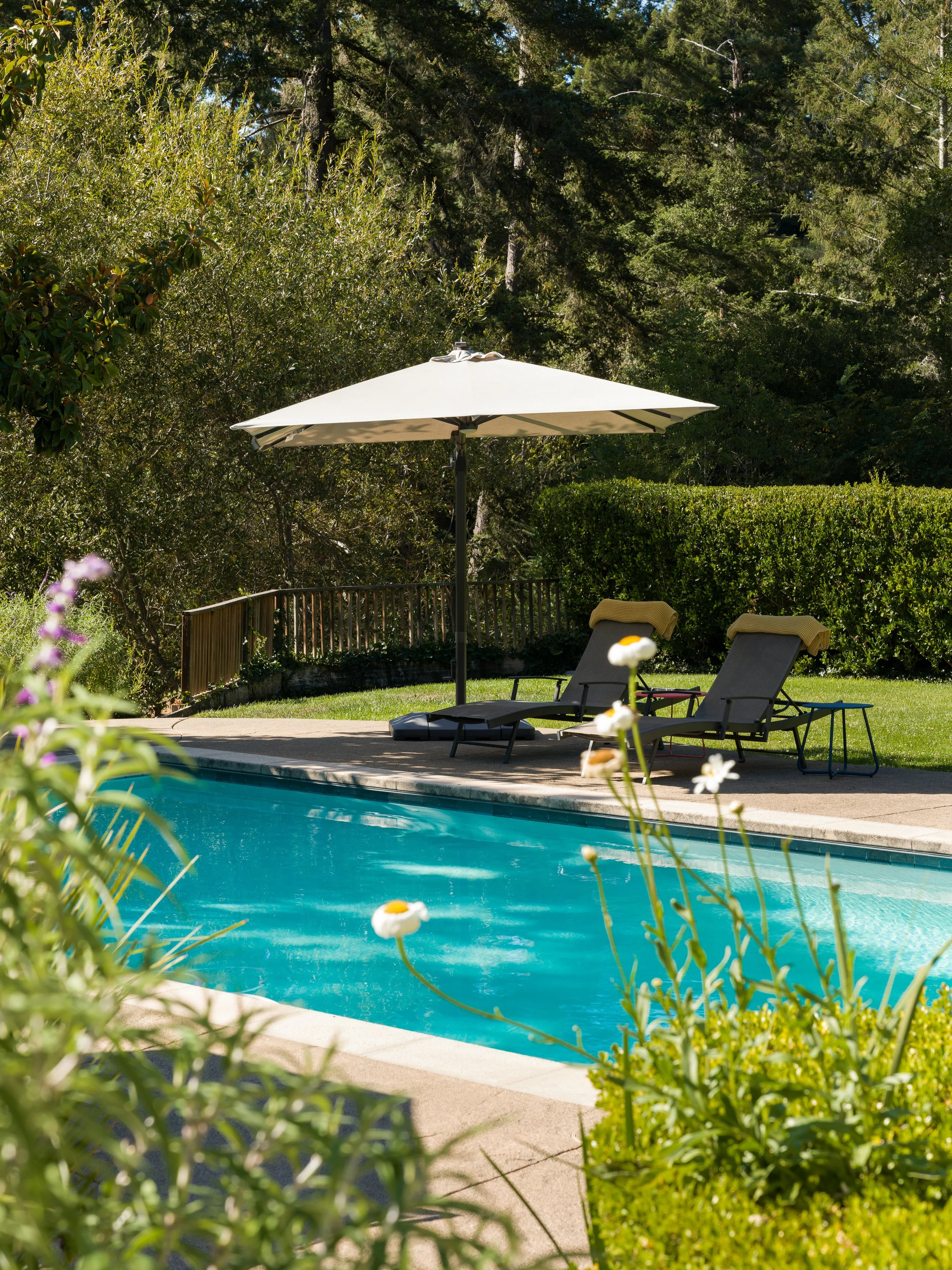 A backyard swimming pool surrounded by green bushes and trees, with lounge chairs and an umbrella on the poolside.