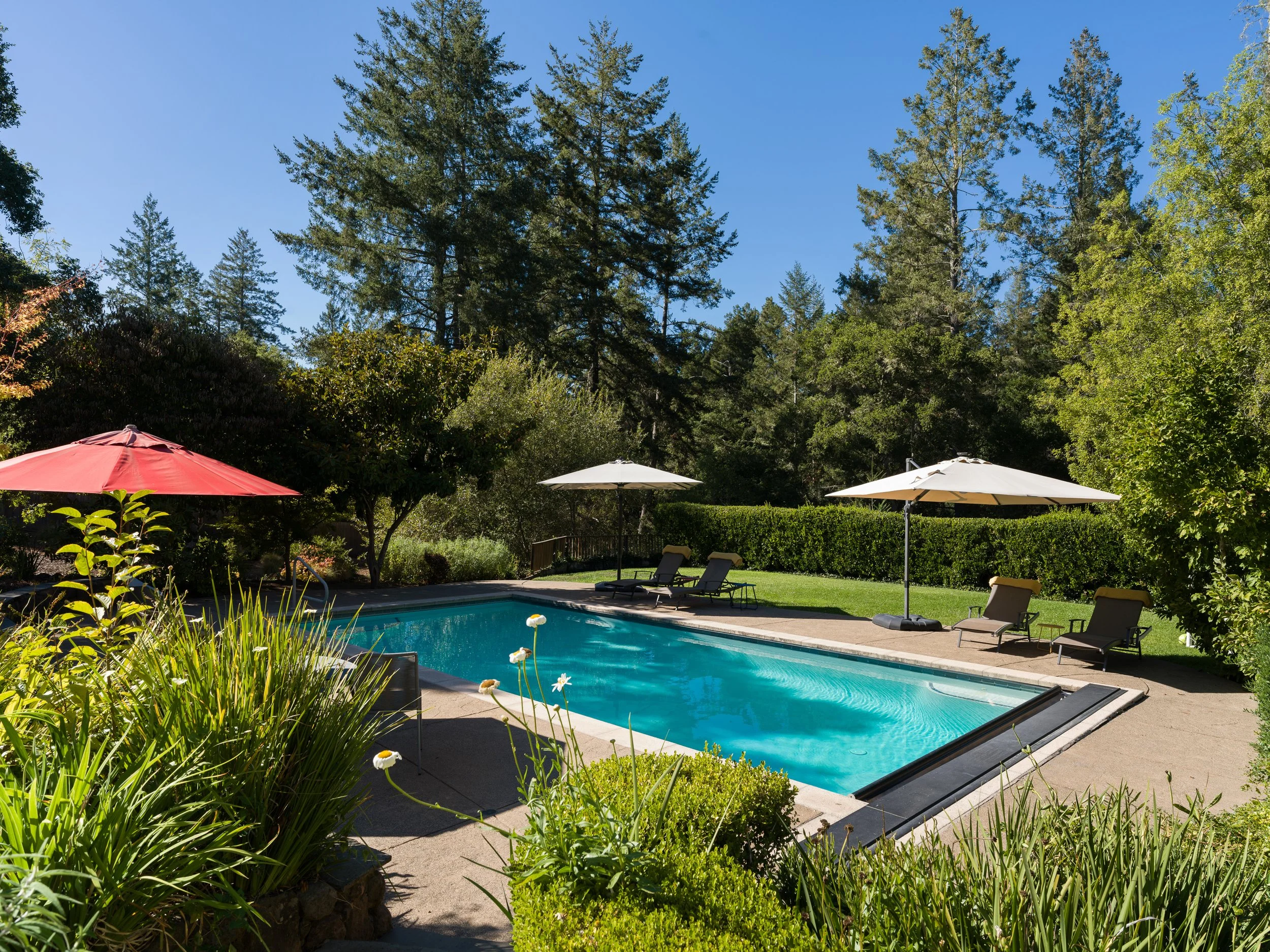 Swimming pool surrounded by lawn chairs with umbrellas and lush green trees under a clear blue sky.