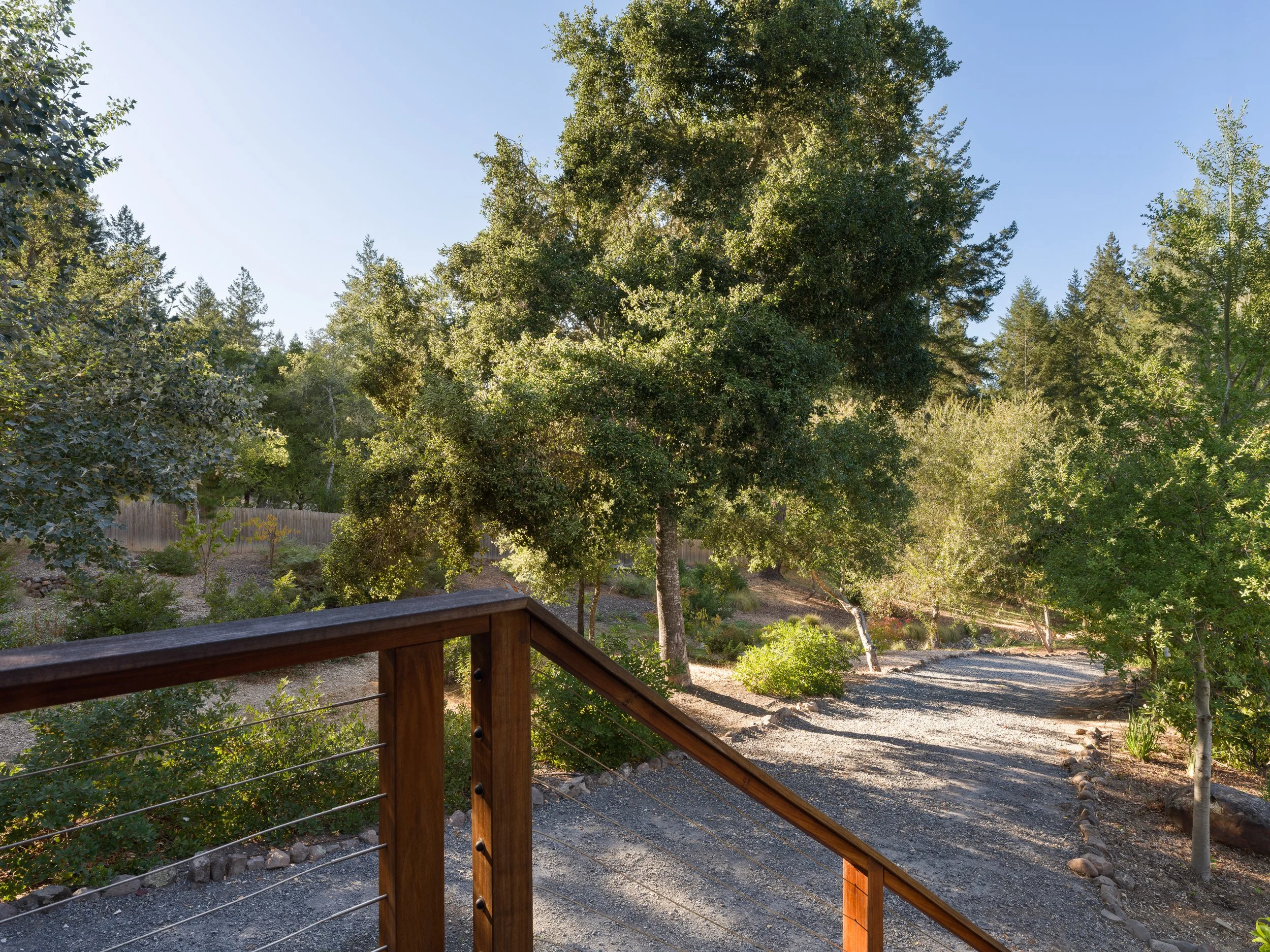 A backyard scene with a large tree, a wooden fence, and gravel pathway, viewed from a backyard deck with a railing.