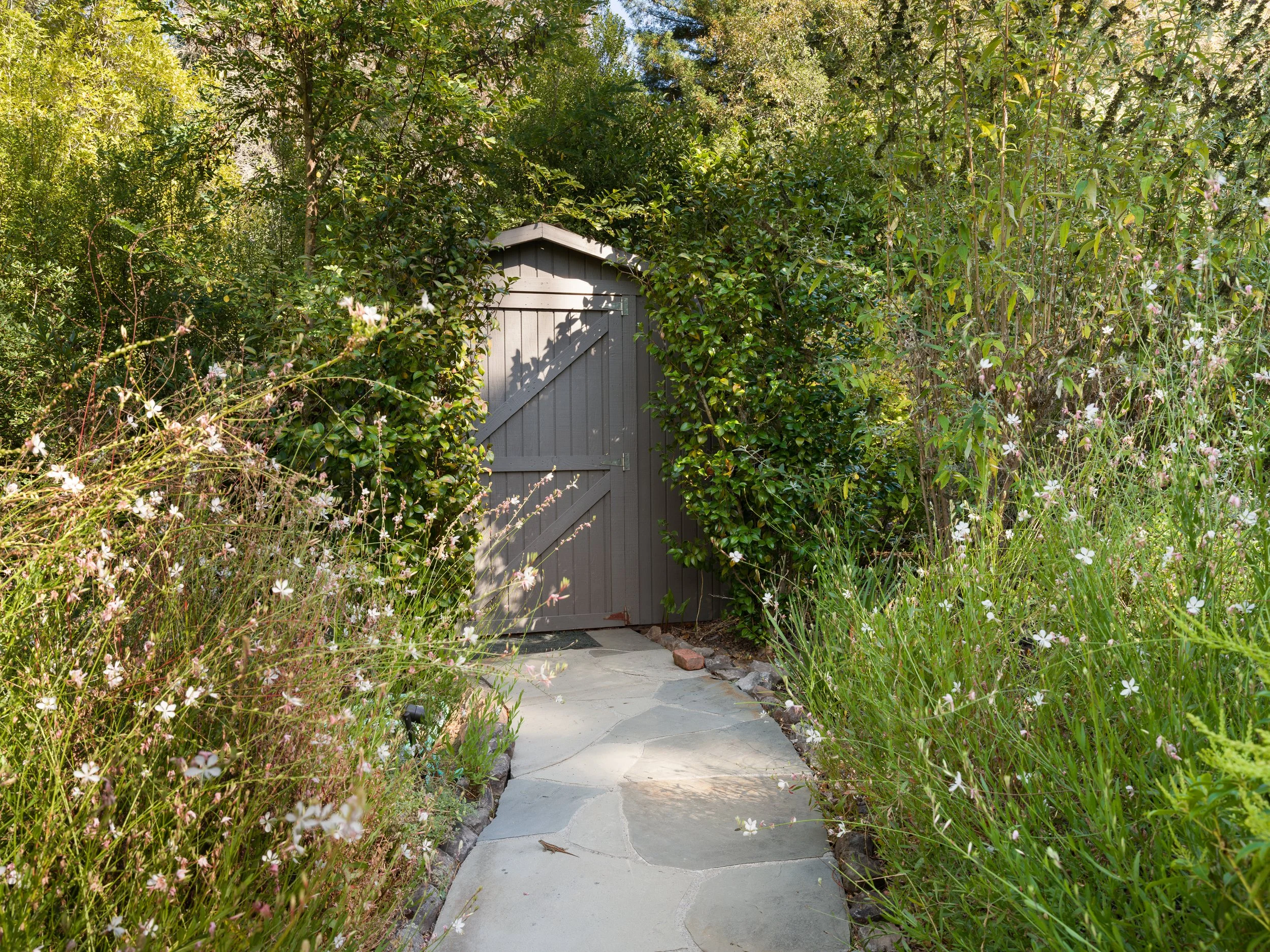 A narrow stone pathway leading to a closed gray garden shed, surrounded by lush green plants and tall bushes, with sunlight filtering through the trees.