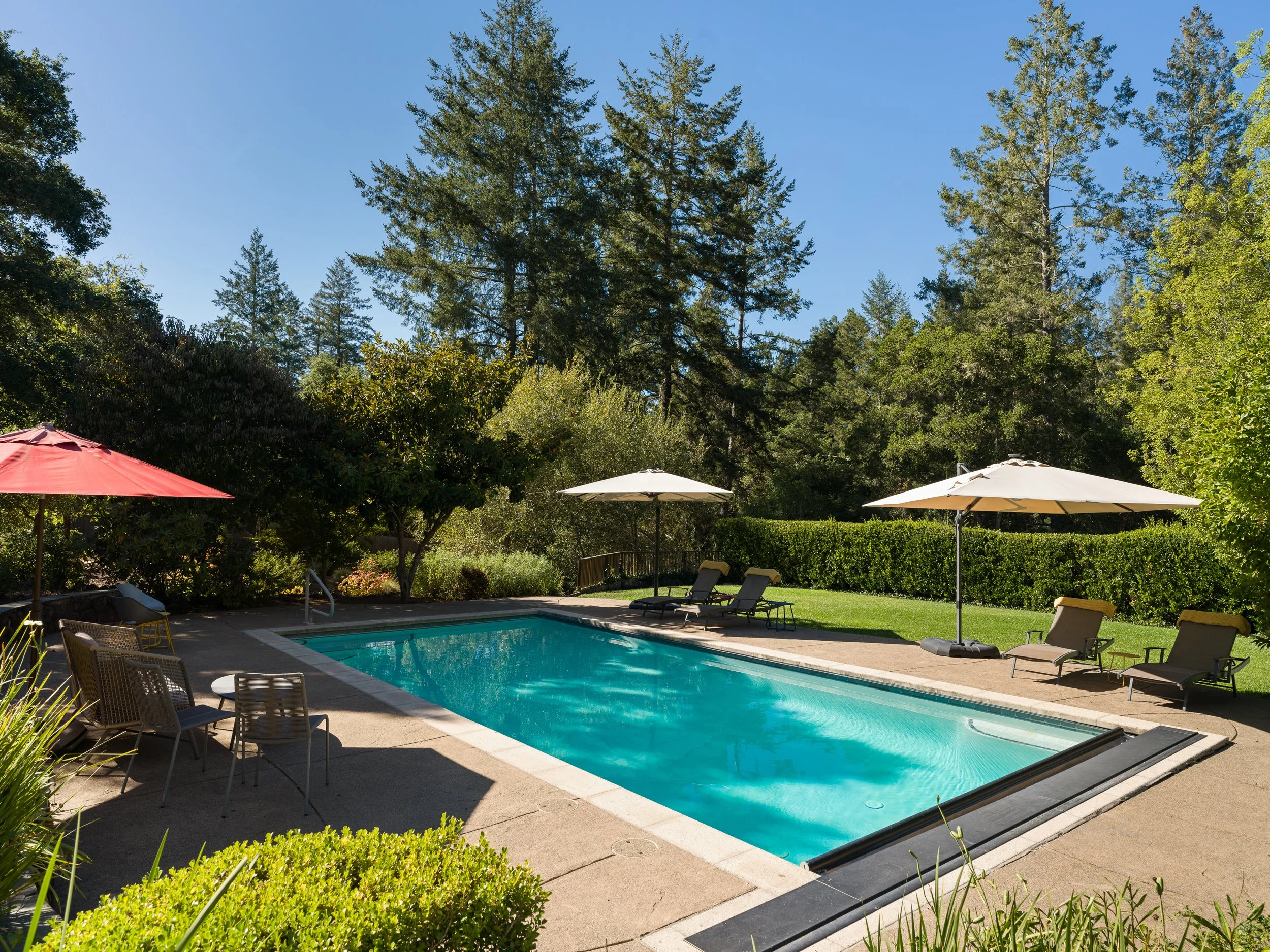 A backyard pool area with several lounge chairs and umbrellas, surrounded by green trees and bushes under a clear blue sky.