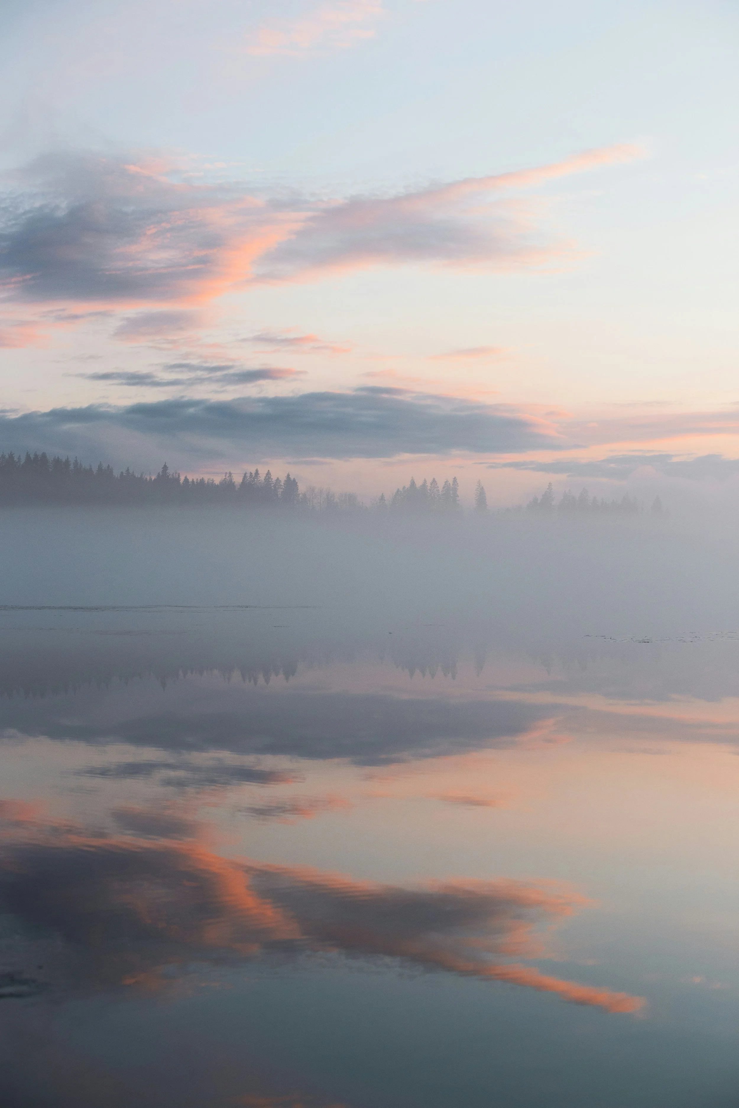 Pastel pink and blue sunset clouds above a misty evergreen forest reflected in a calm lake